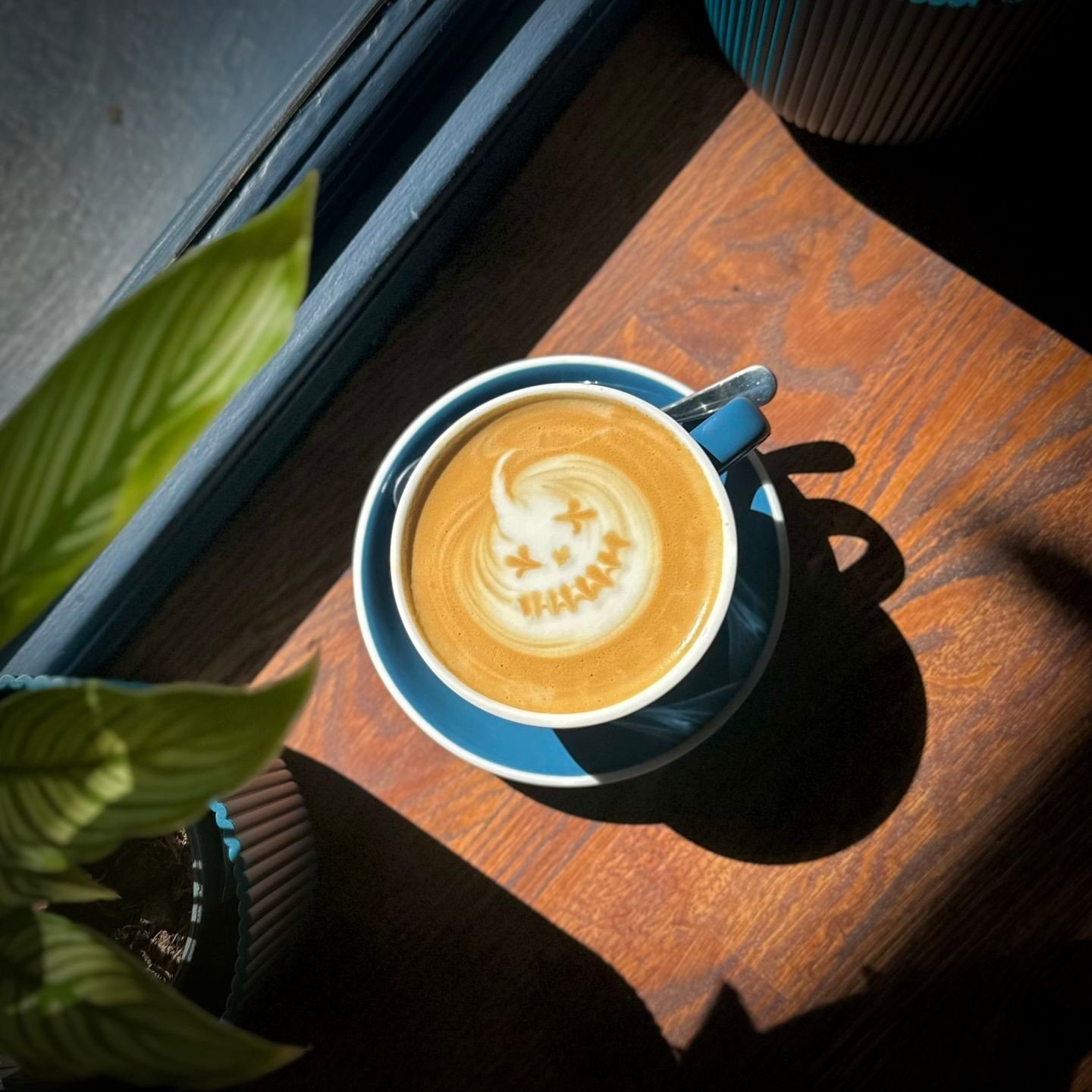 Happy Halloween 🎃
We've got your pumpkin spice covered with our delicious organic blend from Blendsmiths or keep it traditional with your daily flat white and we'll do our best to spook it up on the latte art front... 👻

#halloween #specialitycoffe