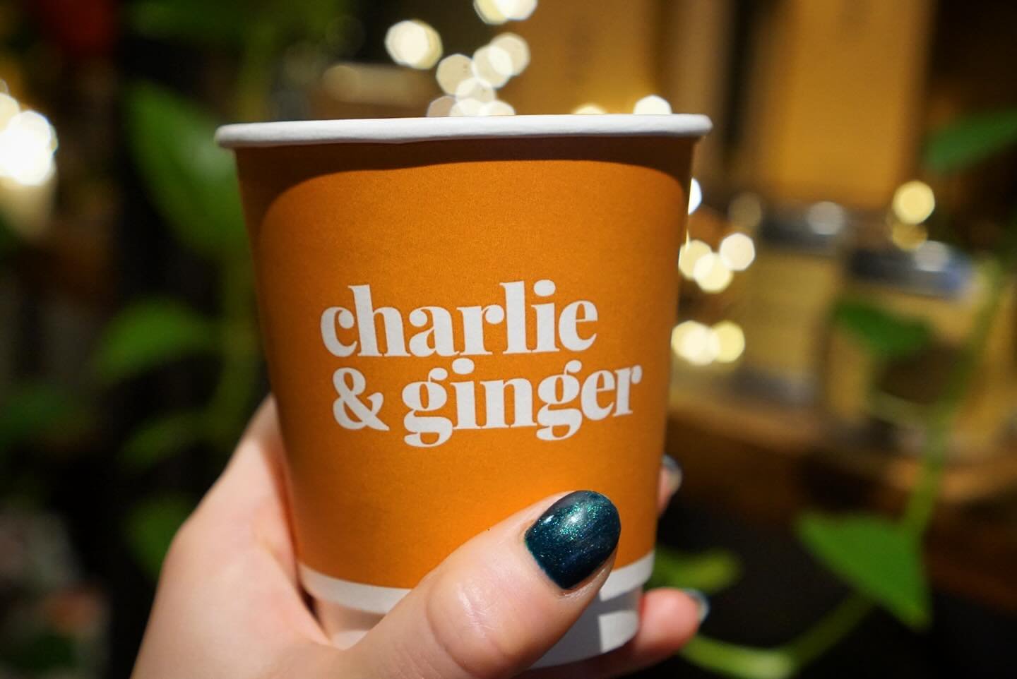 Give your loved ones the (Flat) White Christmas they deserve.
Pick up a gift certificate in either of our shops! Set the value at anything you like, whether it&rsquo;s for the first coffee of the new year or one for every day of 2025 ☕️☕️☕️&hellip; ?