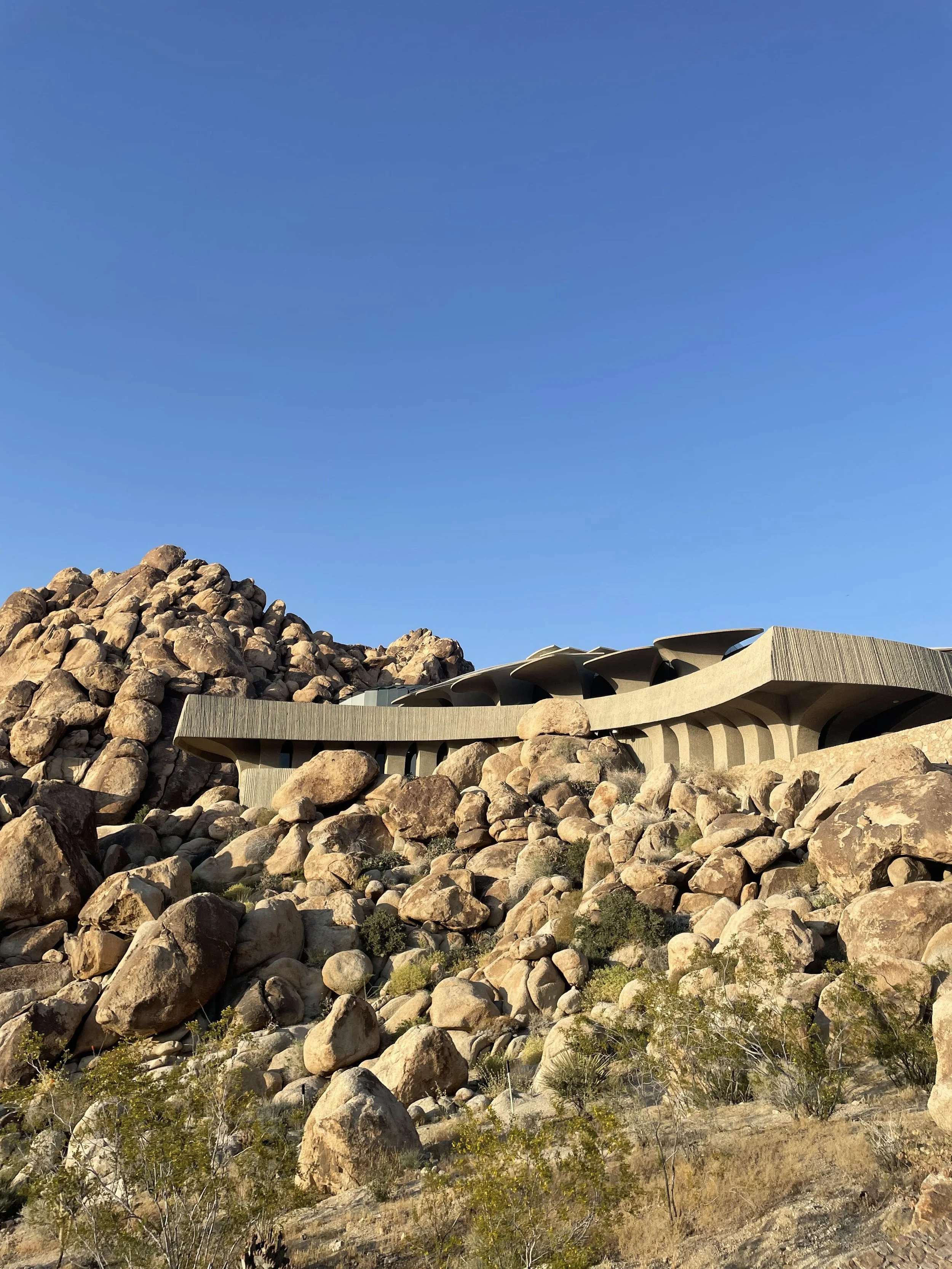 Modern architectural building with curved roof design, surrounded by large rocks and desert vegetation, under a clear blue sky.