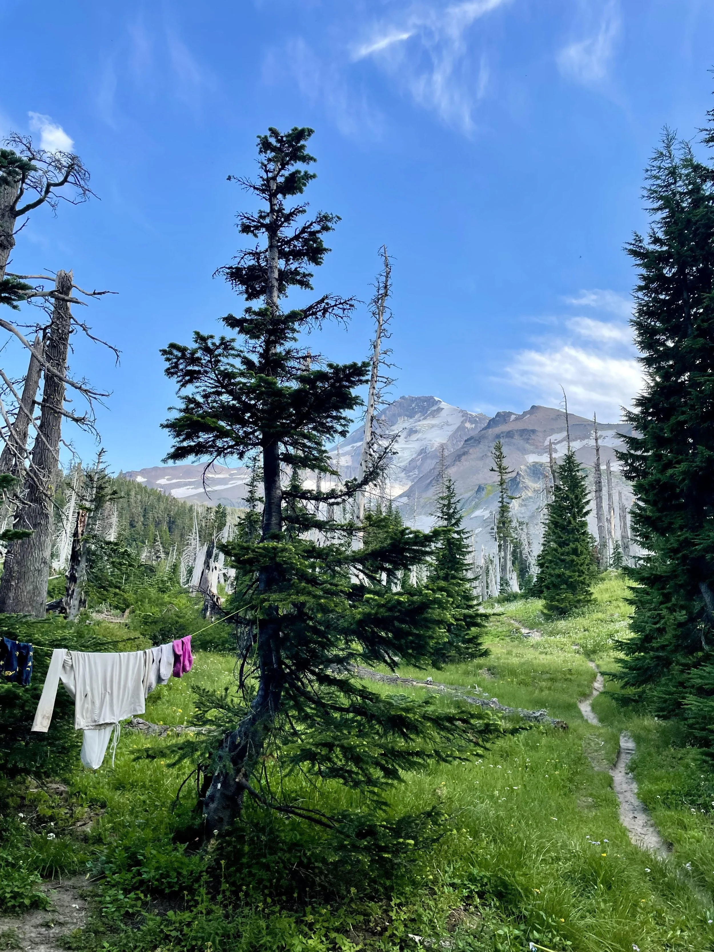 A dirt trail runs through a lush green forest with tall pine trees, some dead trees, and snow-capped mountains in the background. Clothes are hanging on a line between trees.