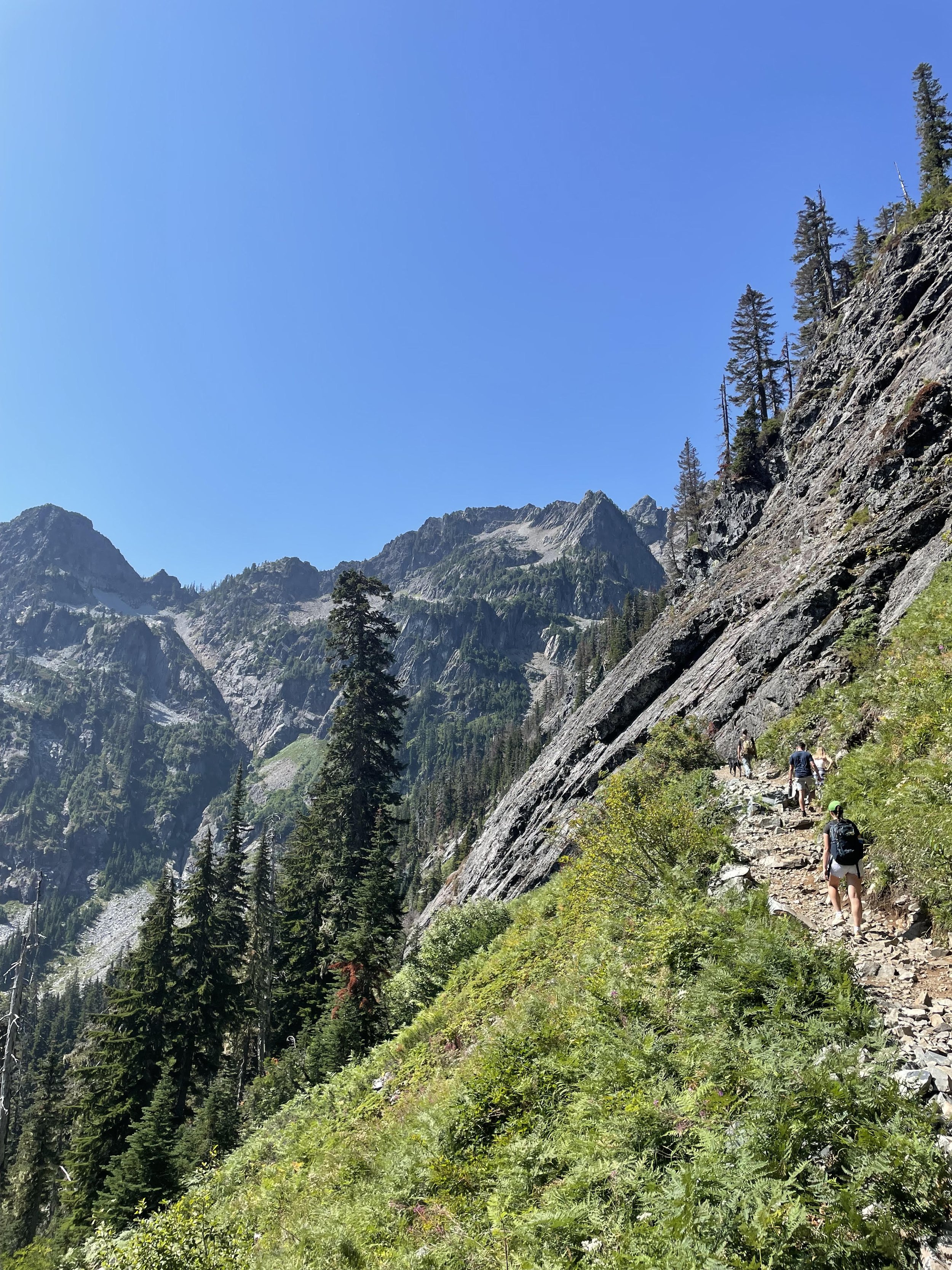 Hikers walking on a narrow mountain trail on a hillside with green vegetation, overlooking rugged mountains and trees under a clear blue sky.
