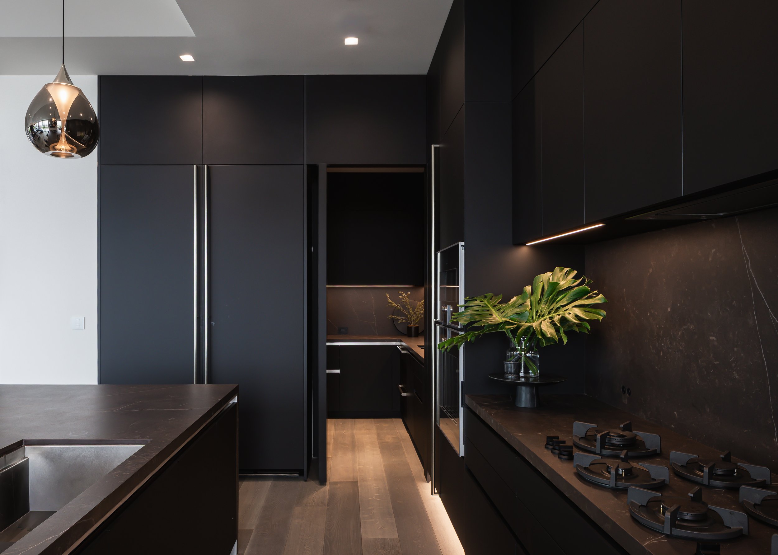 Modern kitchen with black cabinets, a black countertop, a gas stove, and a large leafy plant in a glass vase.