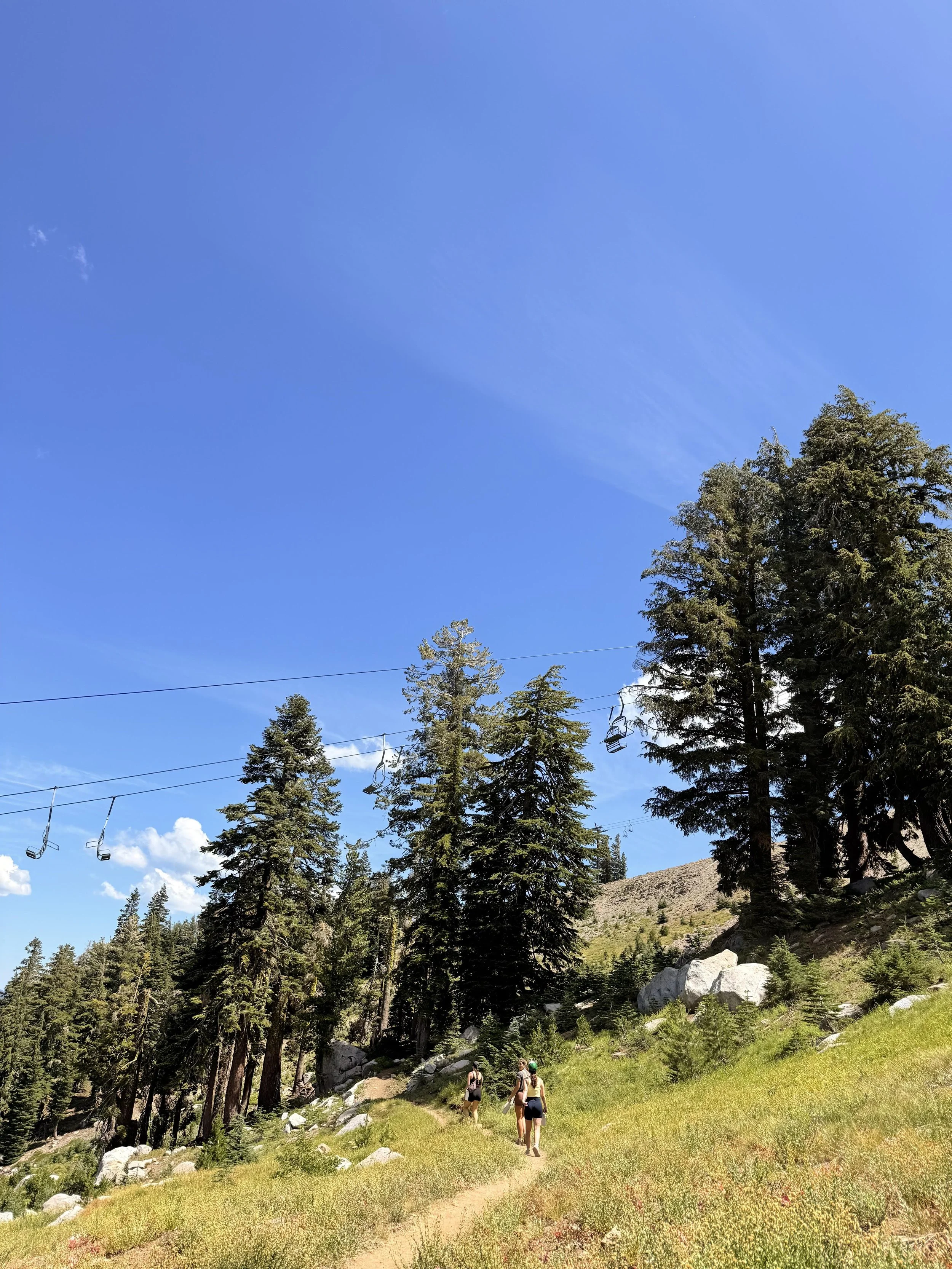 Hikers walking along a trail in a forested mountain landscape under a clear blue sky, with tall pine trees and ski lift chairs overhead.