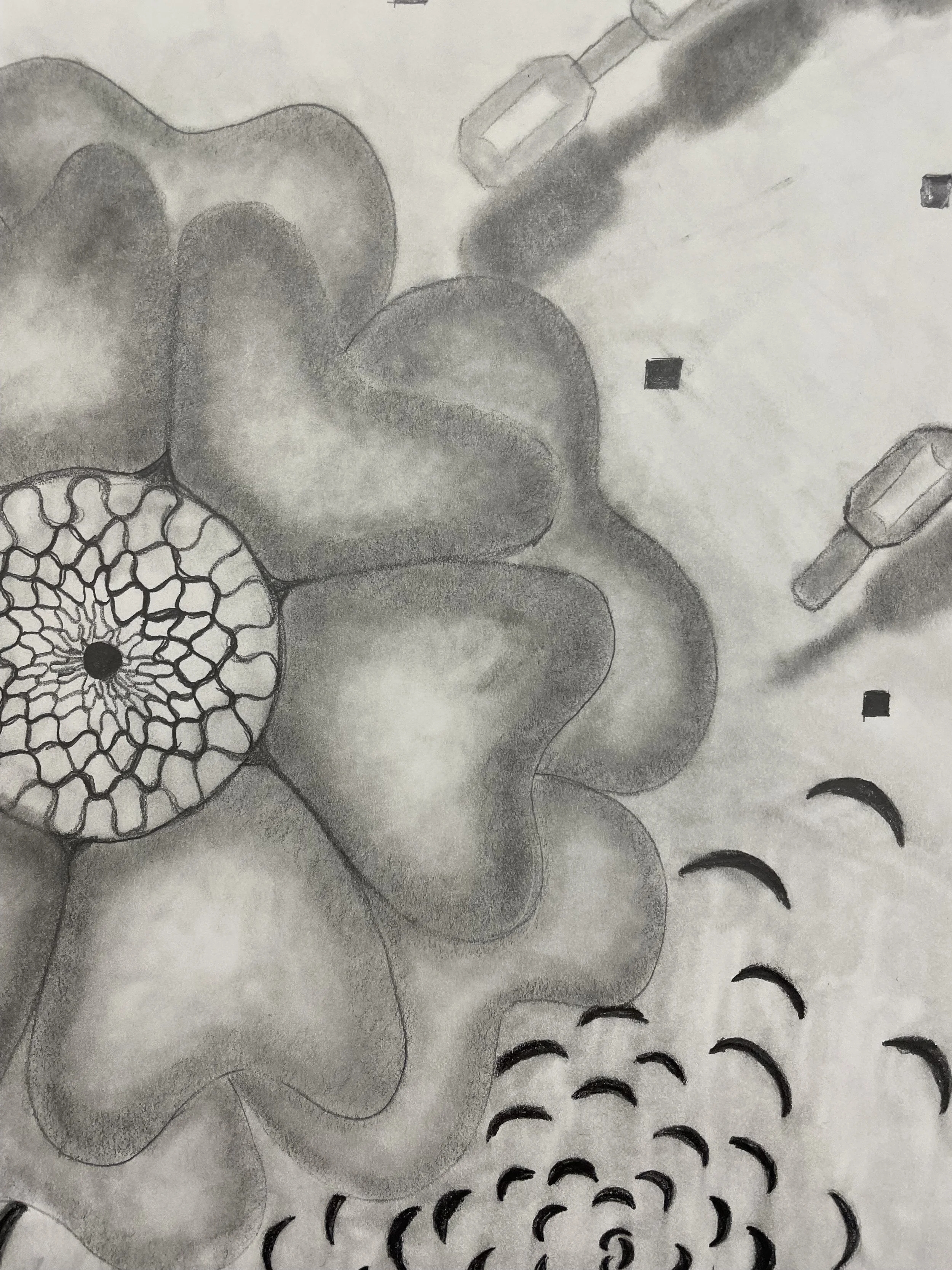art week 4 close up .jpg