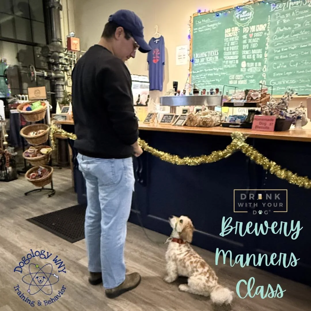 🎄🍻Brewery Manners is returning just in time for the busiest season of the year! 🎁🍻

Whether your calendar is packed or you love a weekly routine, you get to choose:

✨ Drop-in classes &mdash; perfect for flexible, busy schedules
✨ Full session &m