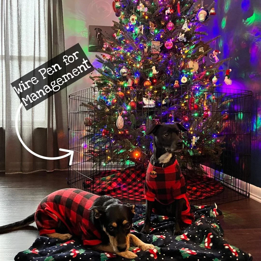 If you set up your tree this weekend, don&rsquo;t forget to set your dog up for success with some management 🎄🐶🎅🏻🐾