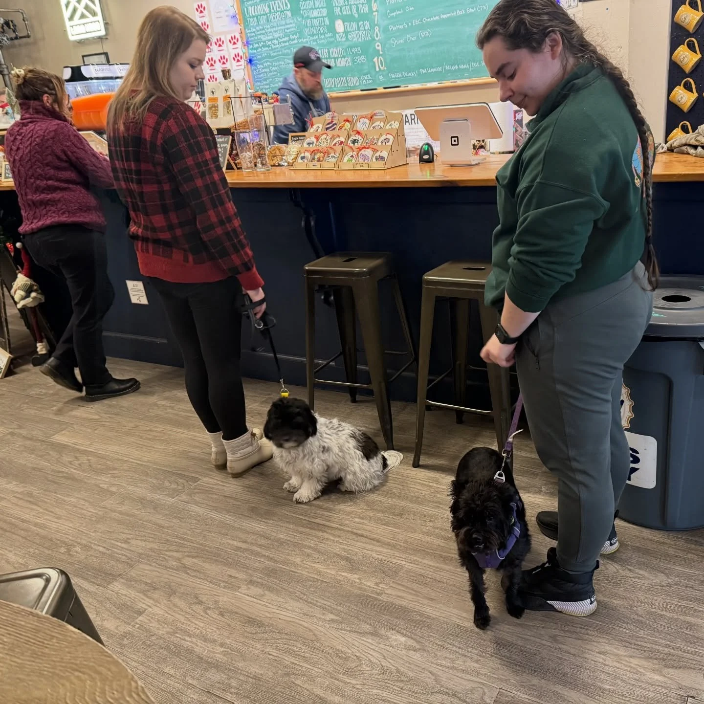 Polite doggos practicing their Level 2 Brewery Manner skills: waiting politely in line with other dogs and people and door manners with distractions 🐾