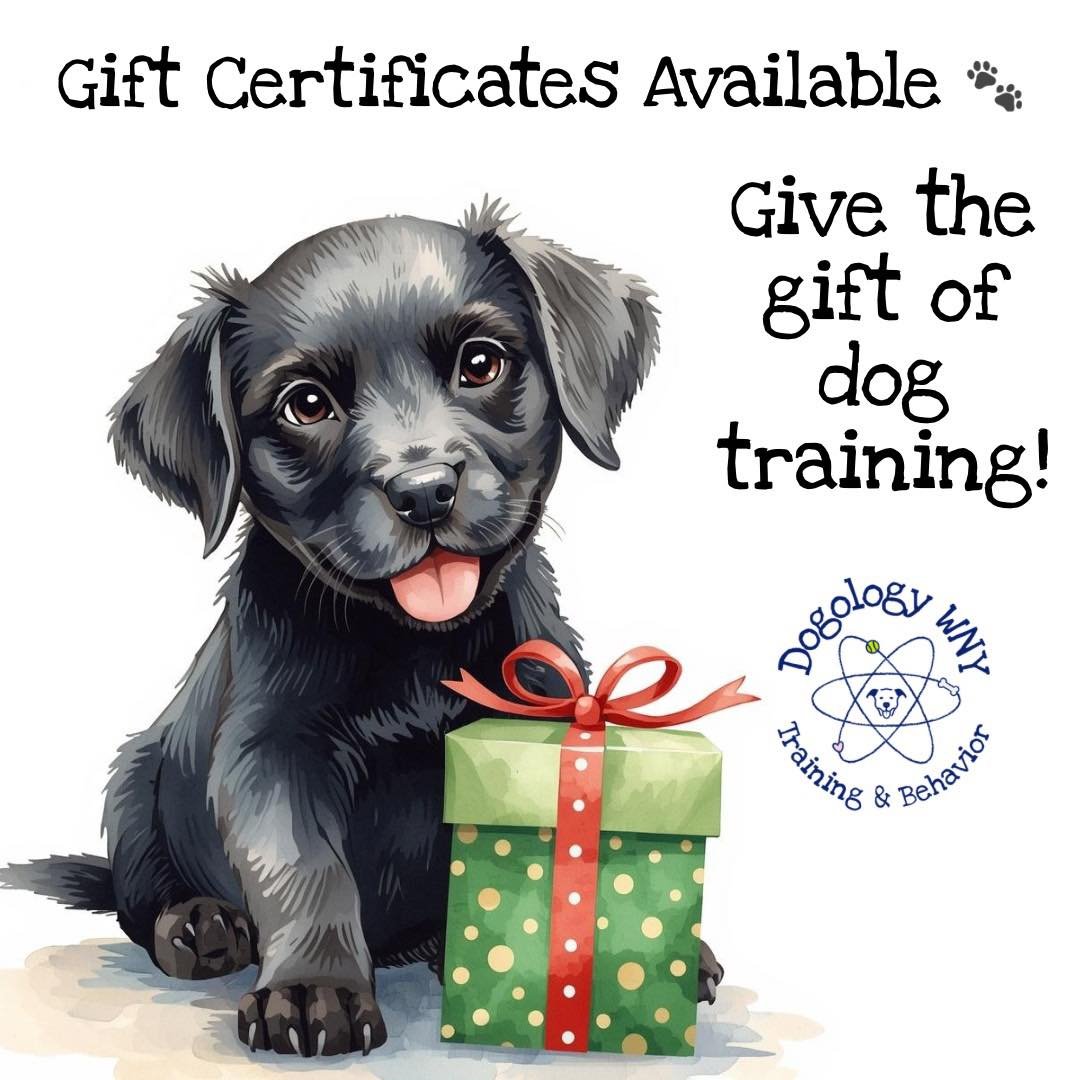 Link in the comments 🐾❤️🎄🎁