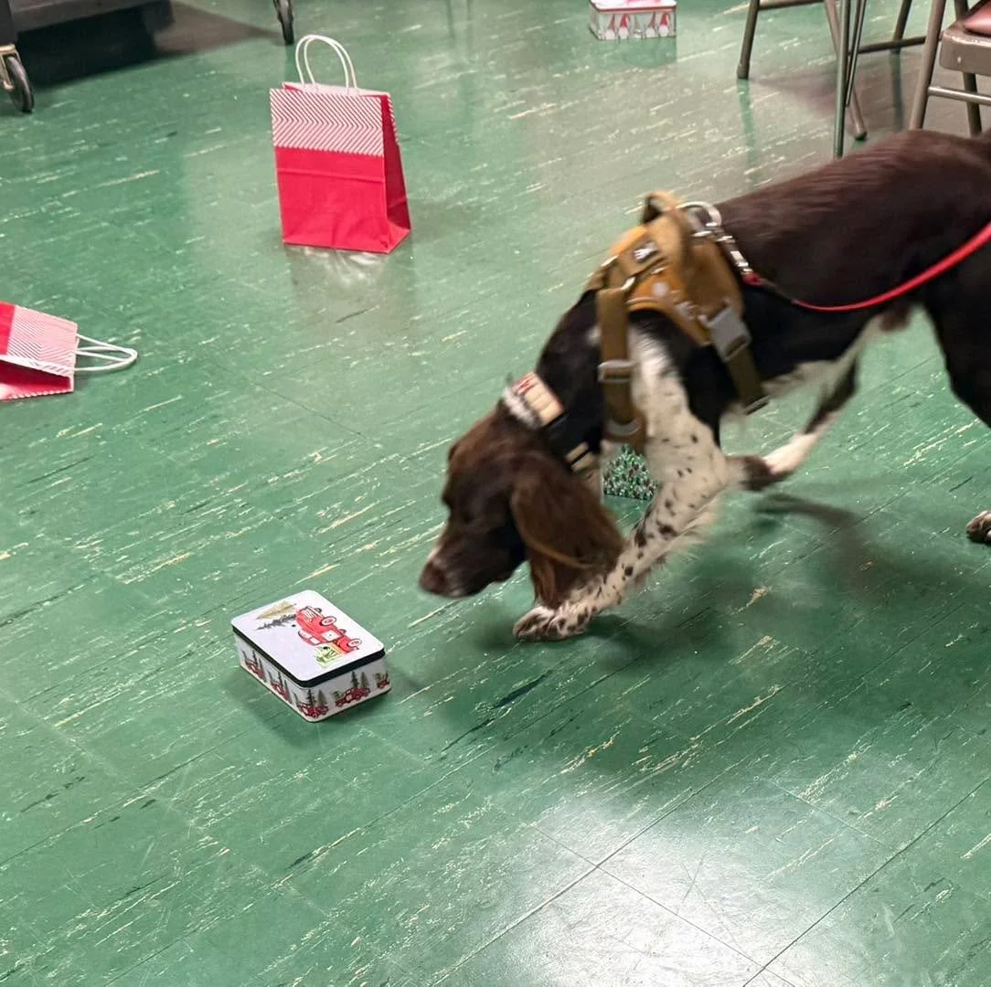 Christmas Eve Eve Sniffing 🐾🎄