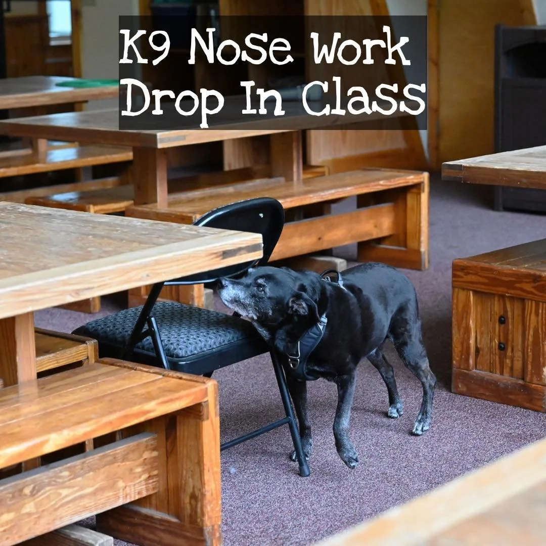 Drop in for some sniffing 🐾 Tonight (Thursday) and next week Thursday - both in Williamsville. Link in the comments.