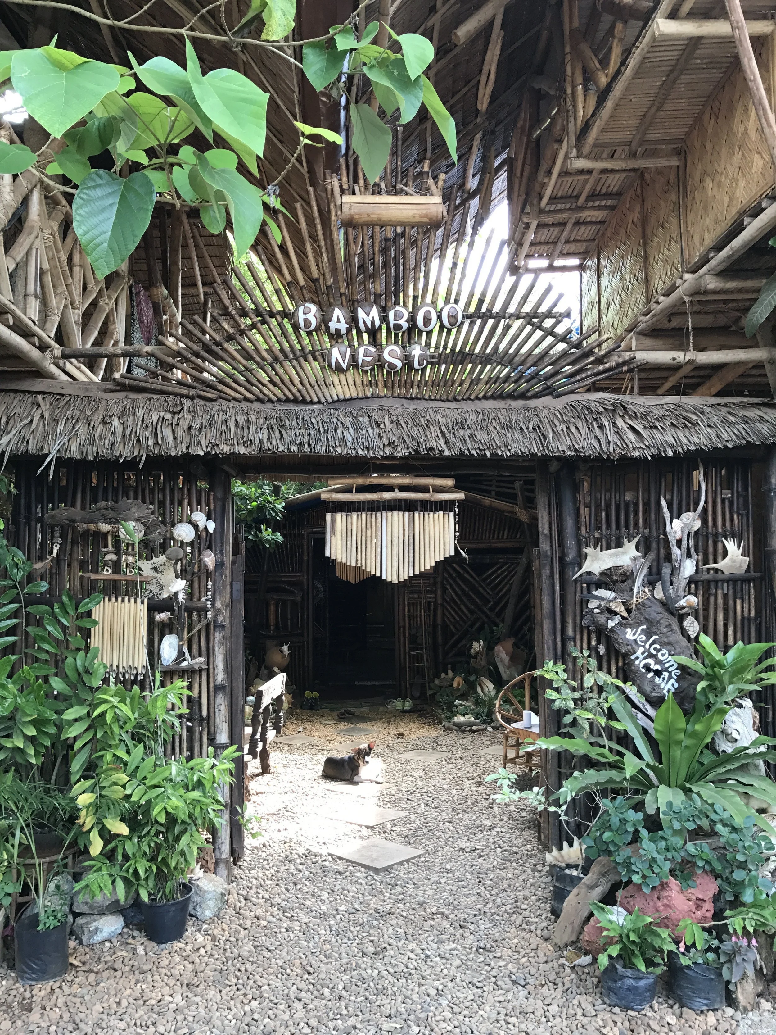 Bamboo Nest Puerto Princesa Palawan Philippines