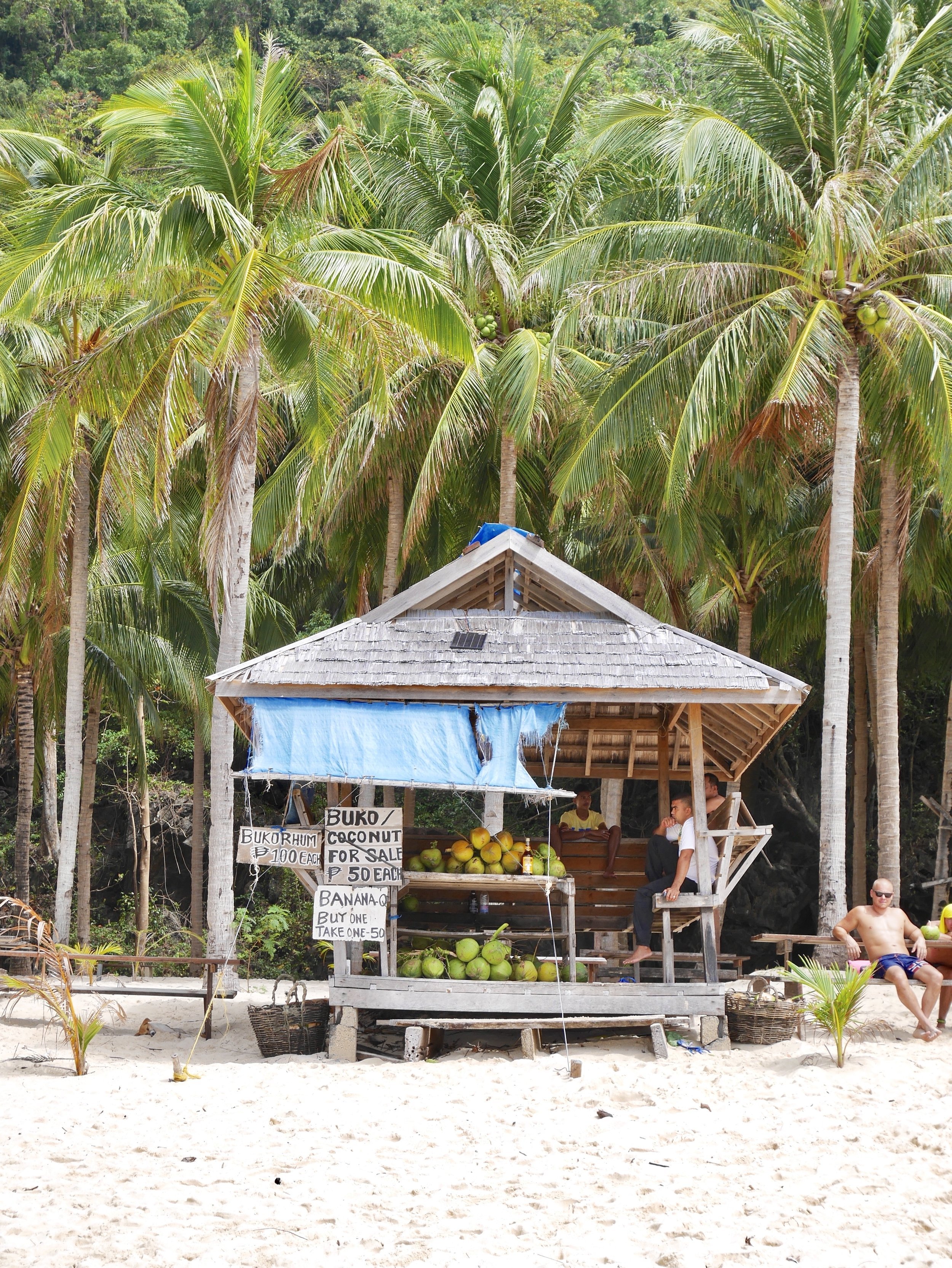 coconut hut.jpg