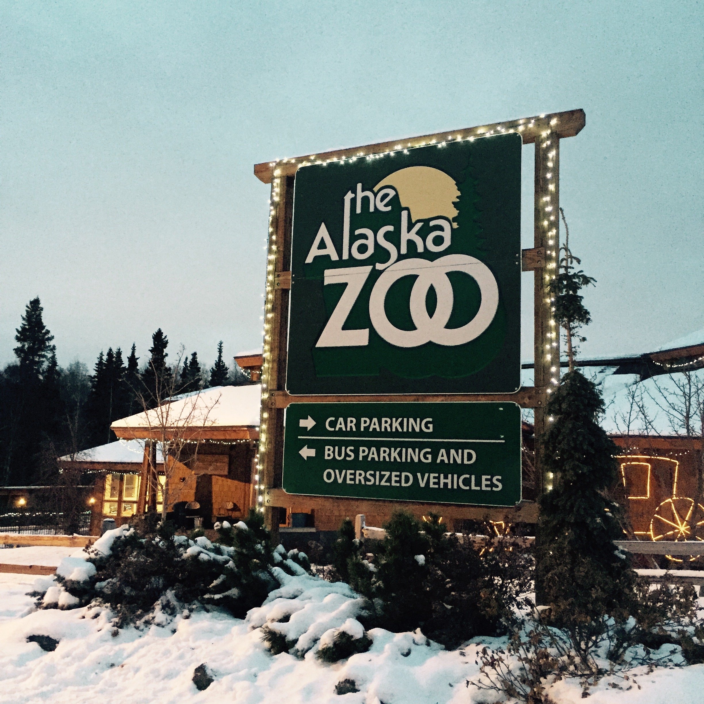 The Alaska Zoo rescues hurt animals