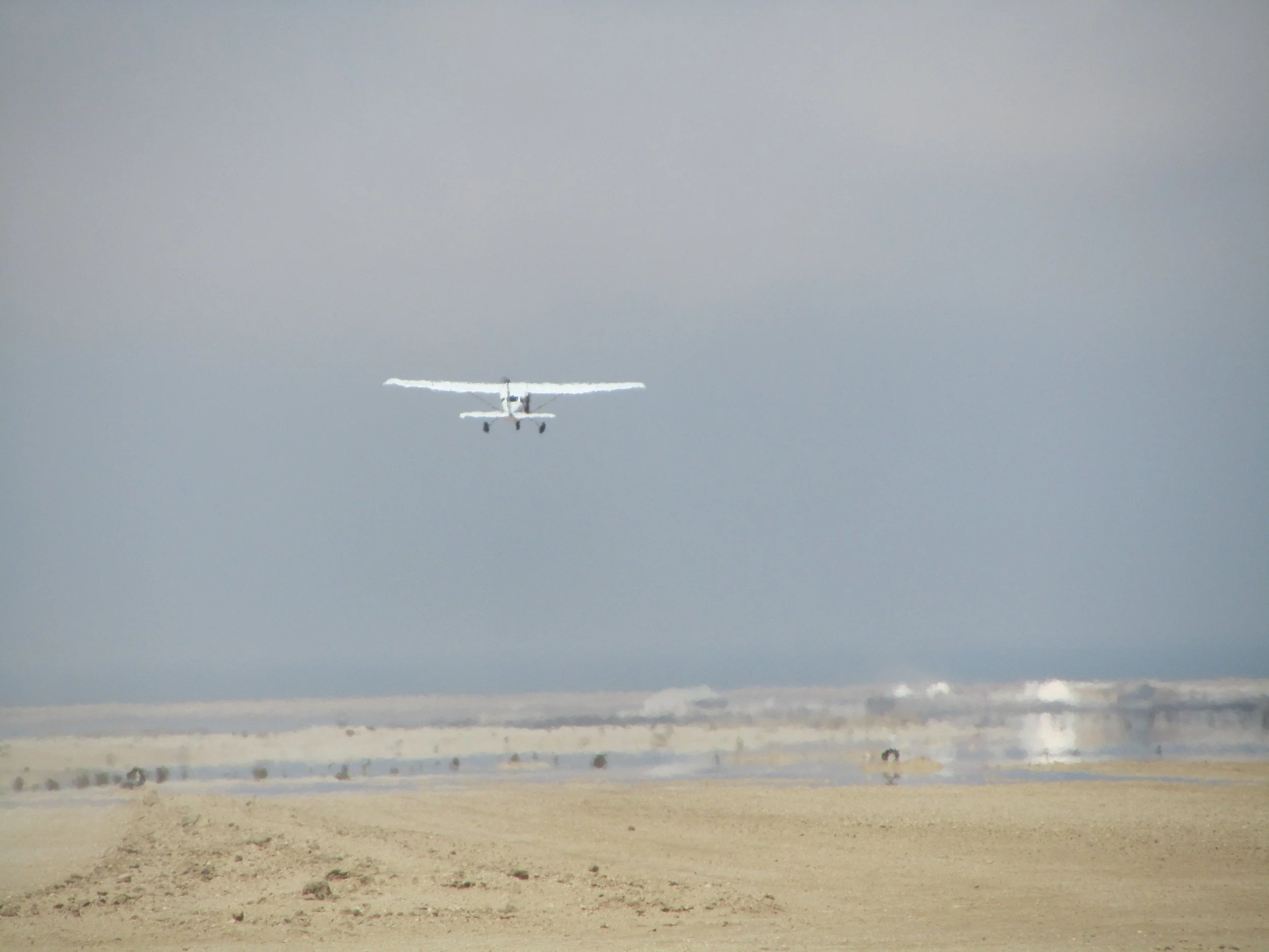 Does It Pay to be Loyal to an Airline?