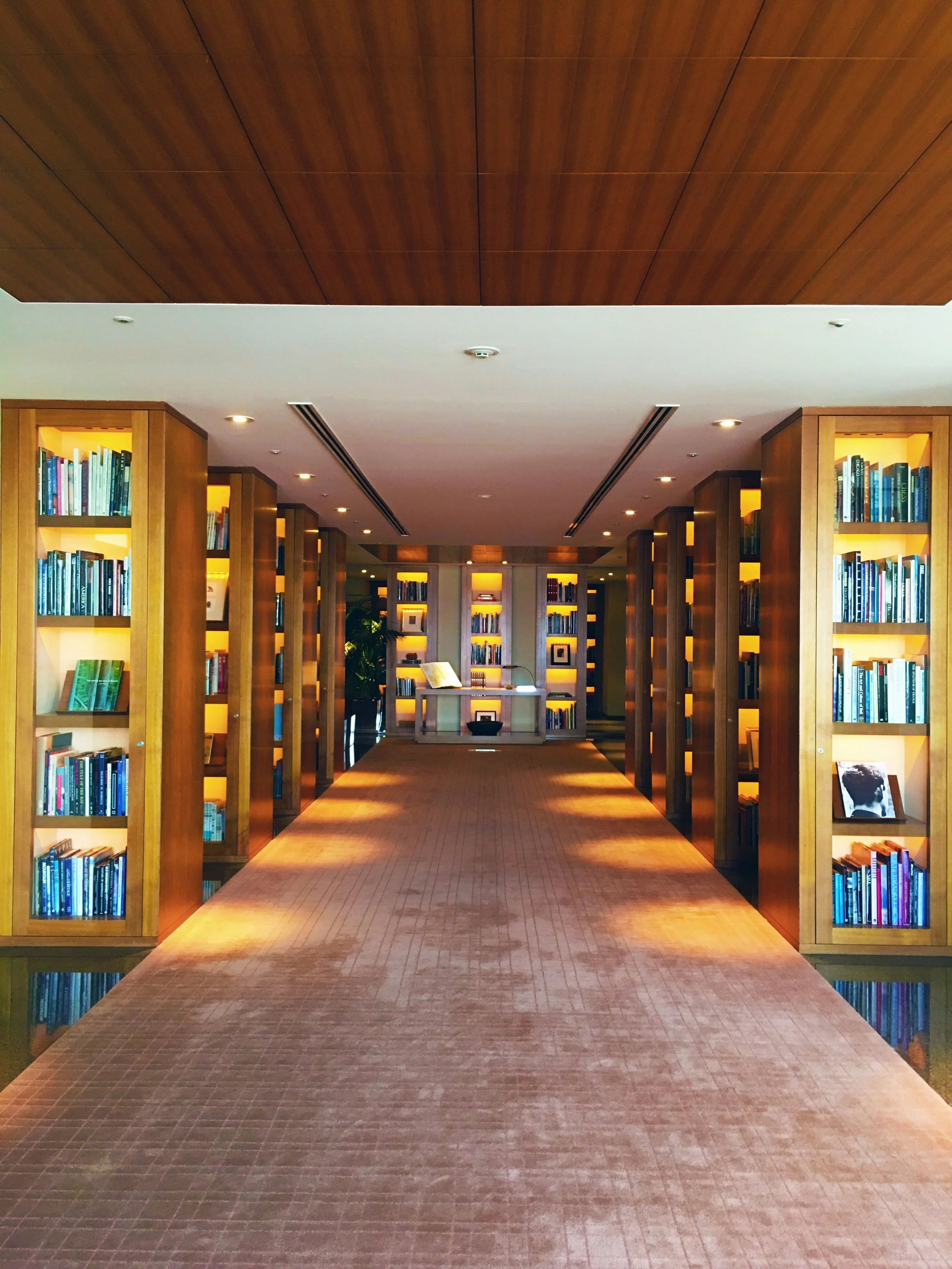 In a dream and yet still awake