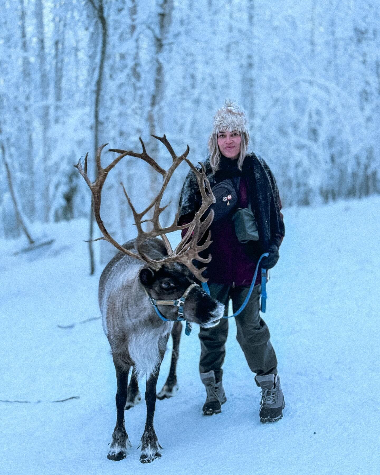 Merry Christmas from winter wonderland. Wishing you all peace and love.

#reindeer #winterwonderland #fairbanksalaska #runningreindeerranch