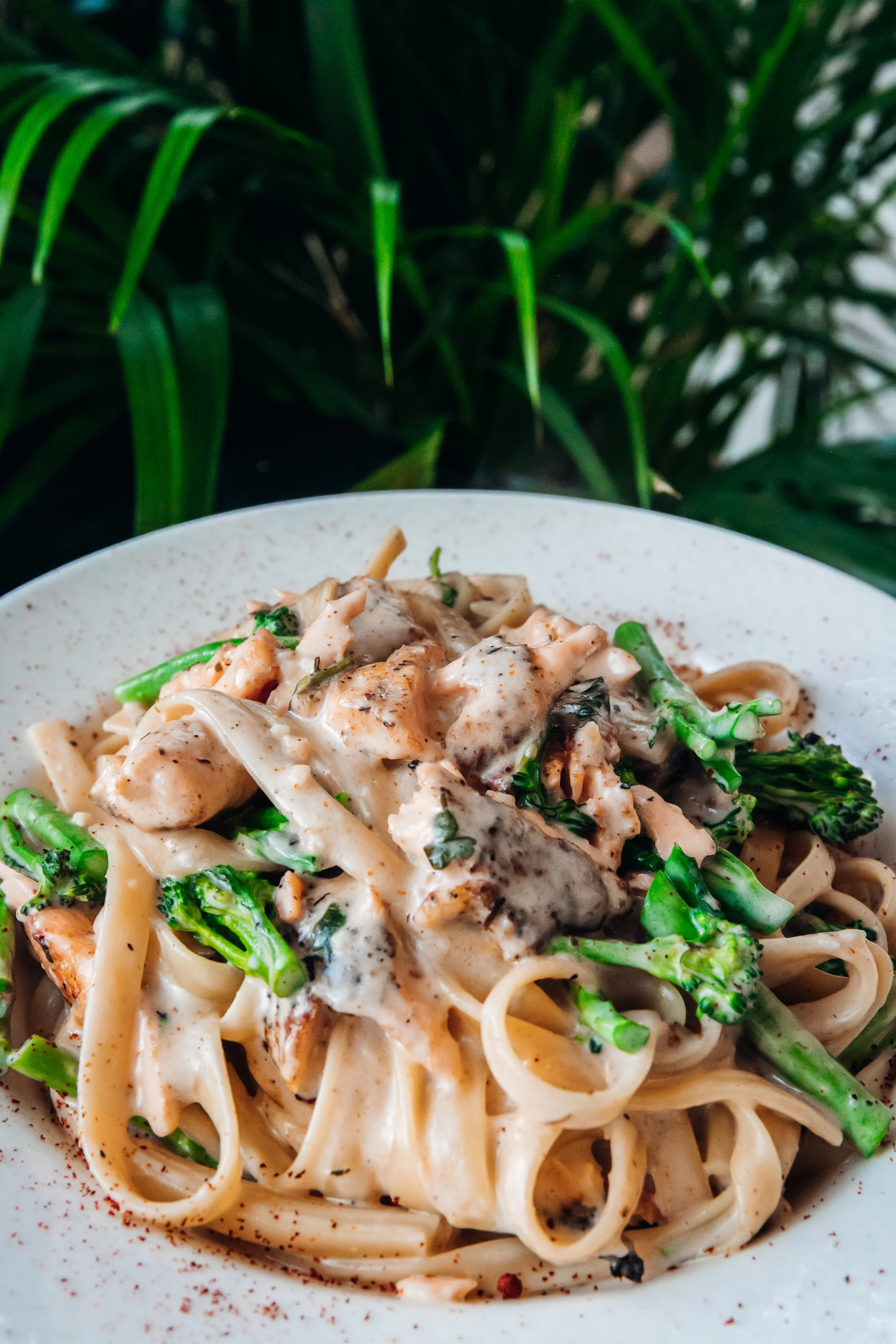 Salmon and Broccolini Cajun Inspired Pasta
