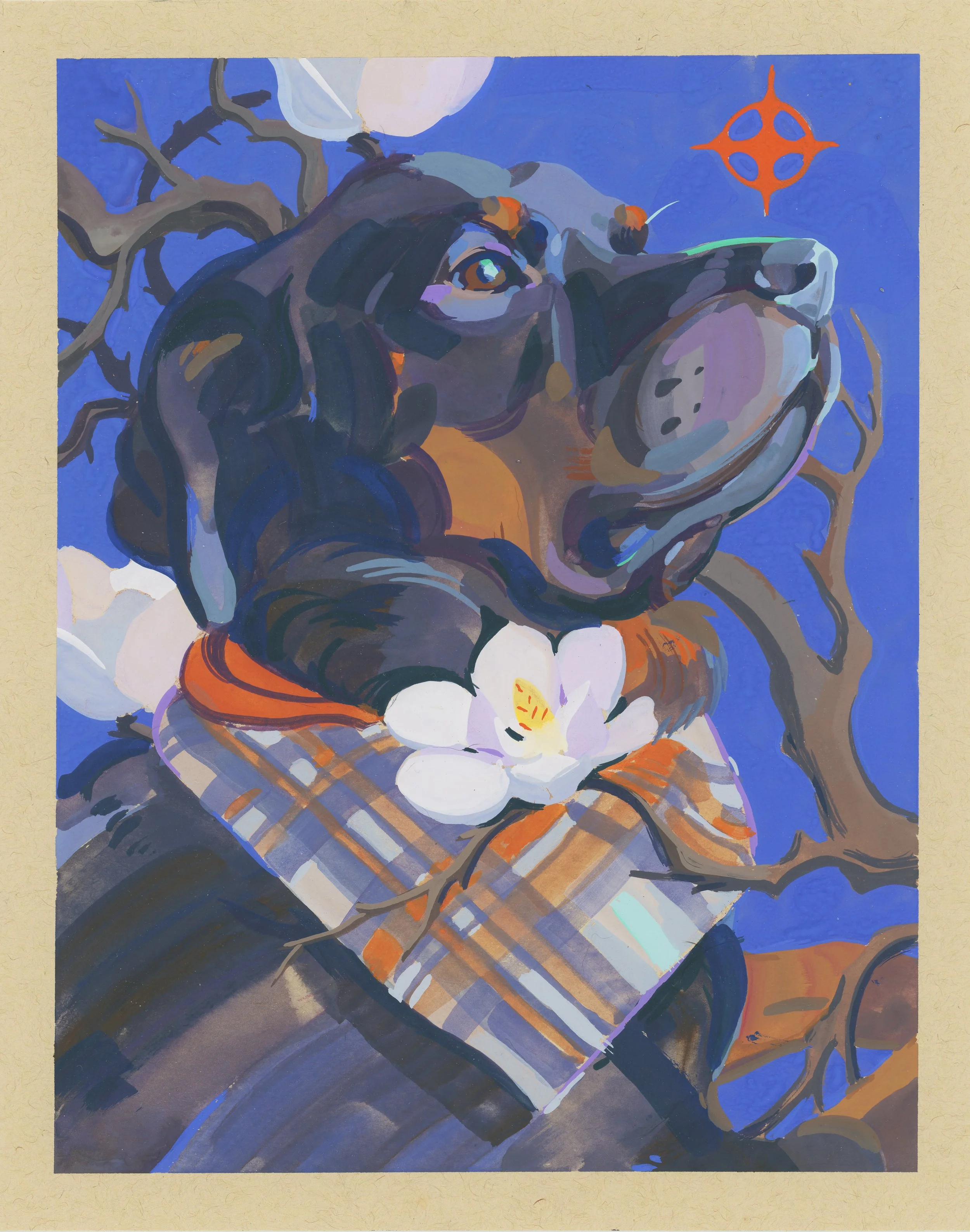 Rottie.jpg