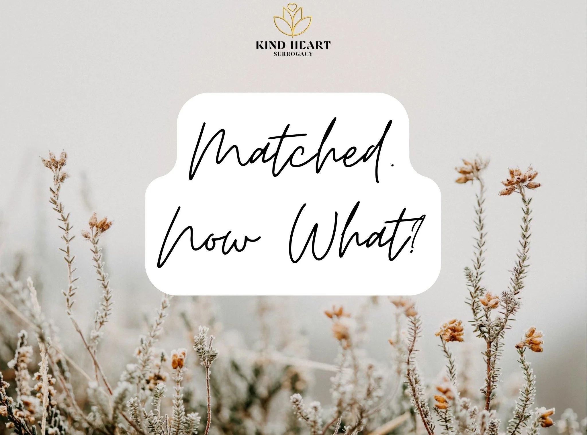 Matching is such an exciting milestone, but what happens next?
After a surrogate is matched, the journey typically includes:
&bull; Medical screening�&bull; Psychological evaluation�&bull; Legal contracts�&bull; Embryo transfer preparation
Each step 