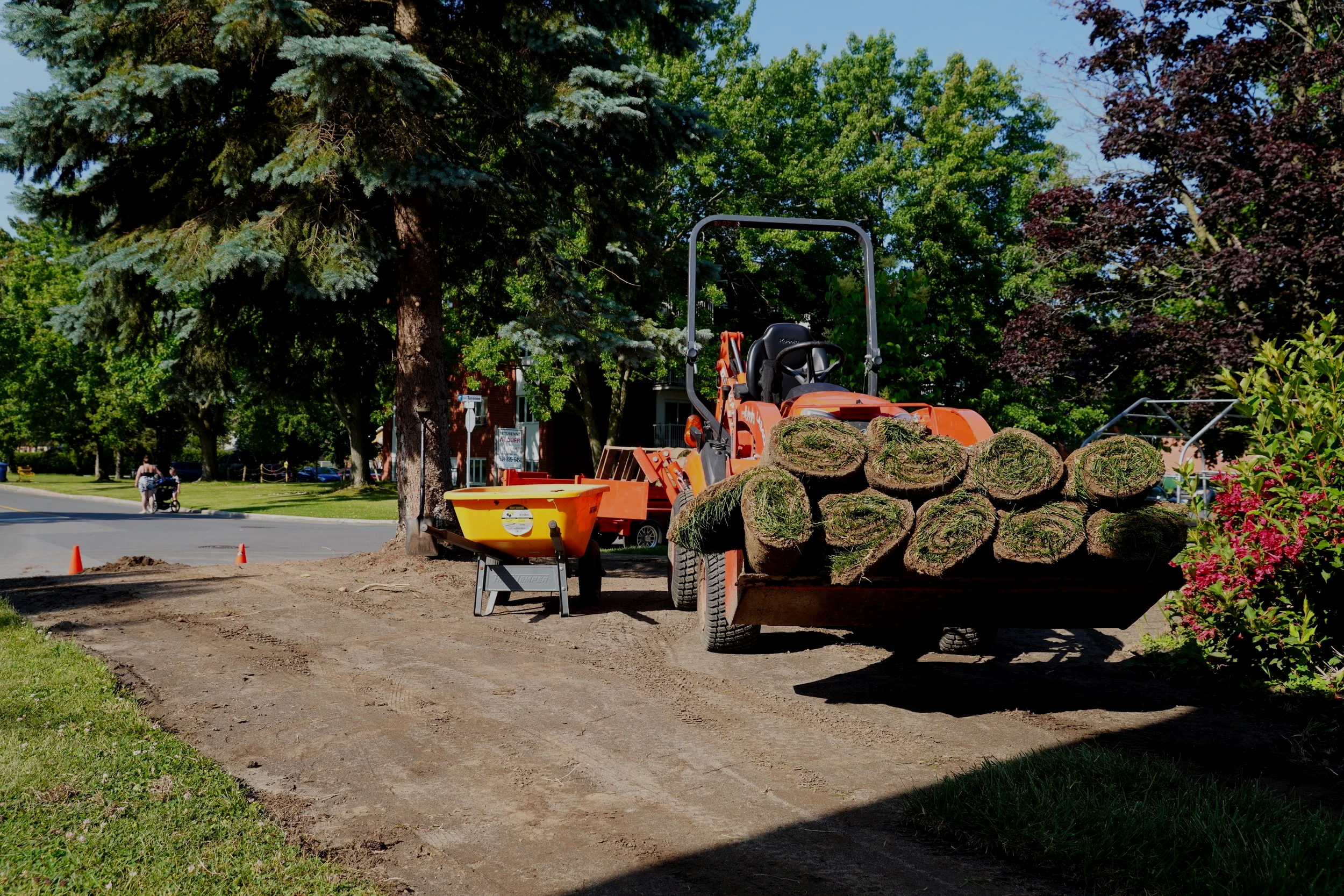 Pelouse Voltage Landscape Construction During