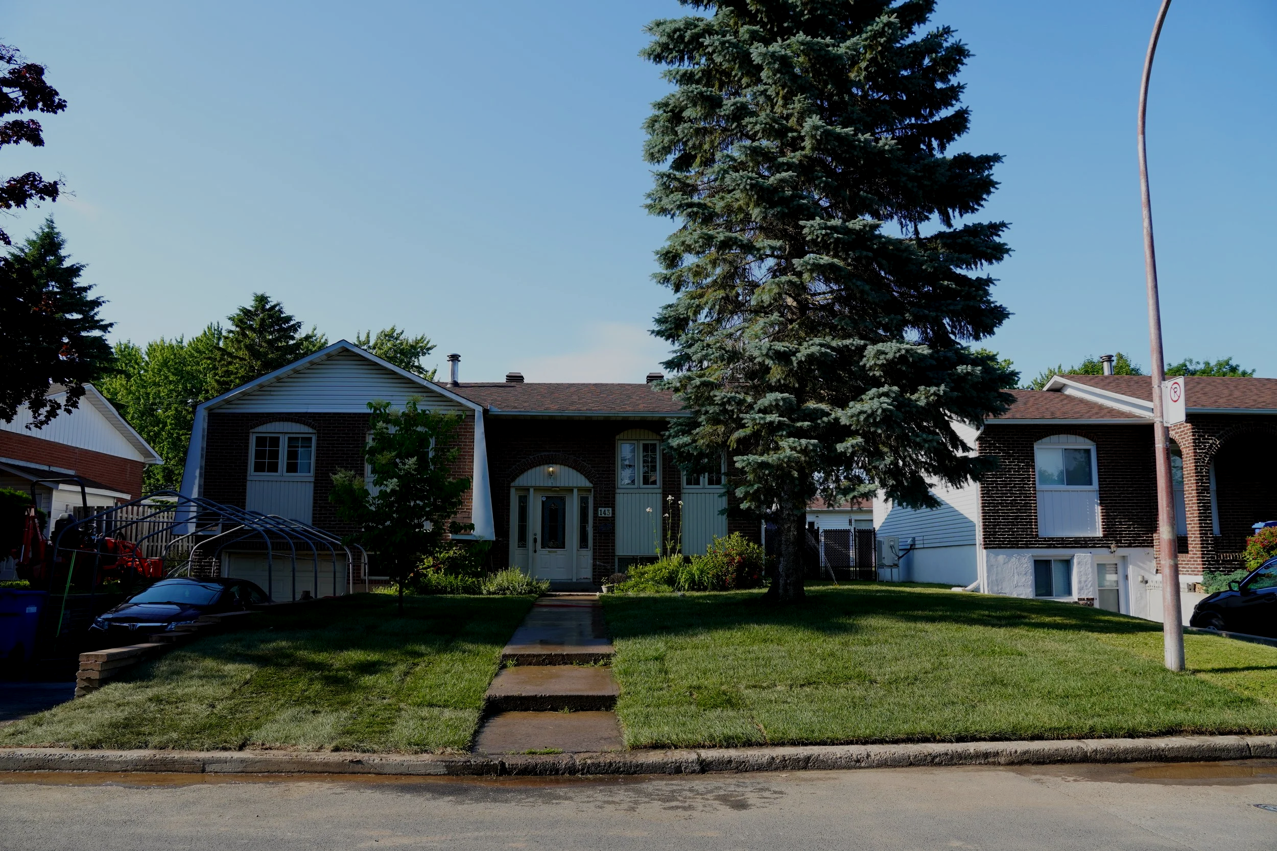 Pelouse Voltage Landscape Construction After