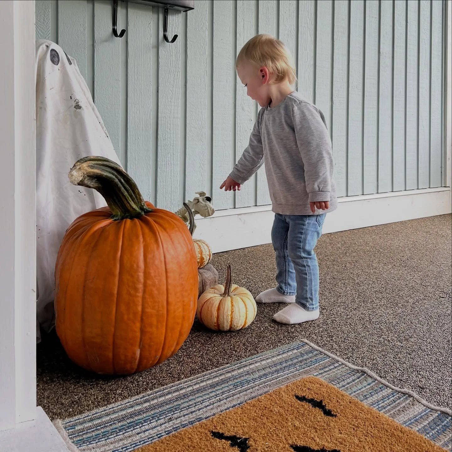 Halloween mode activated! Keeping it simple this year... Swipe to see Luke's throwback checking out the pumpkins.