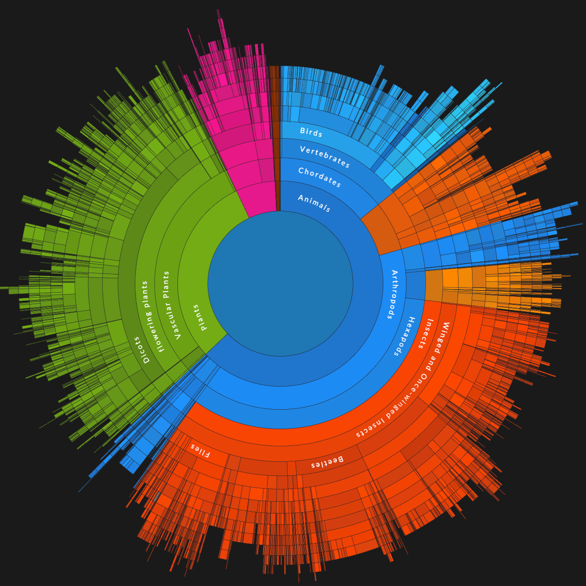 iNaturalist Contributions