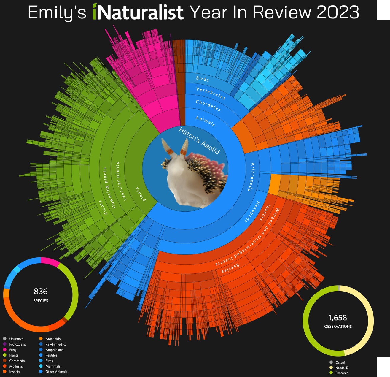 iNaturalist Contributions