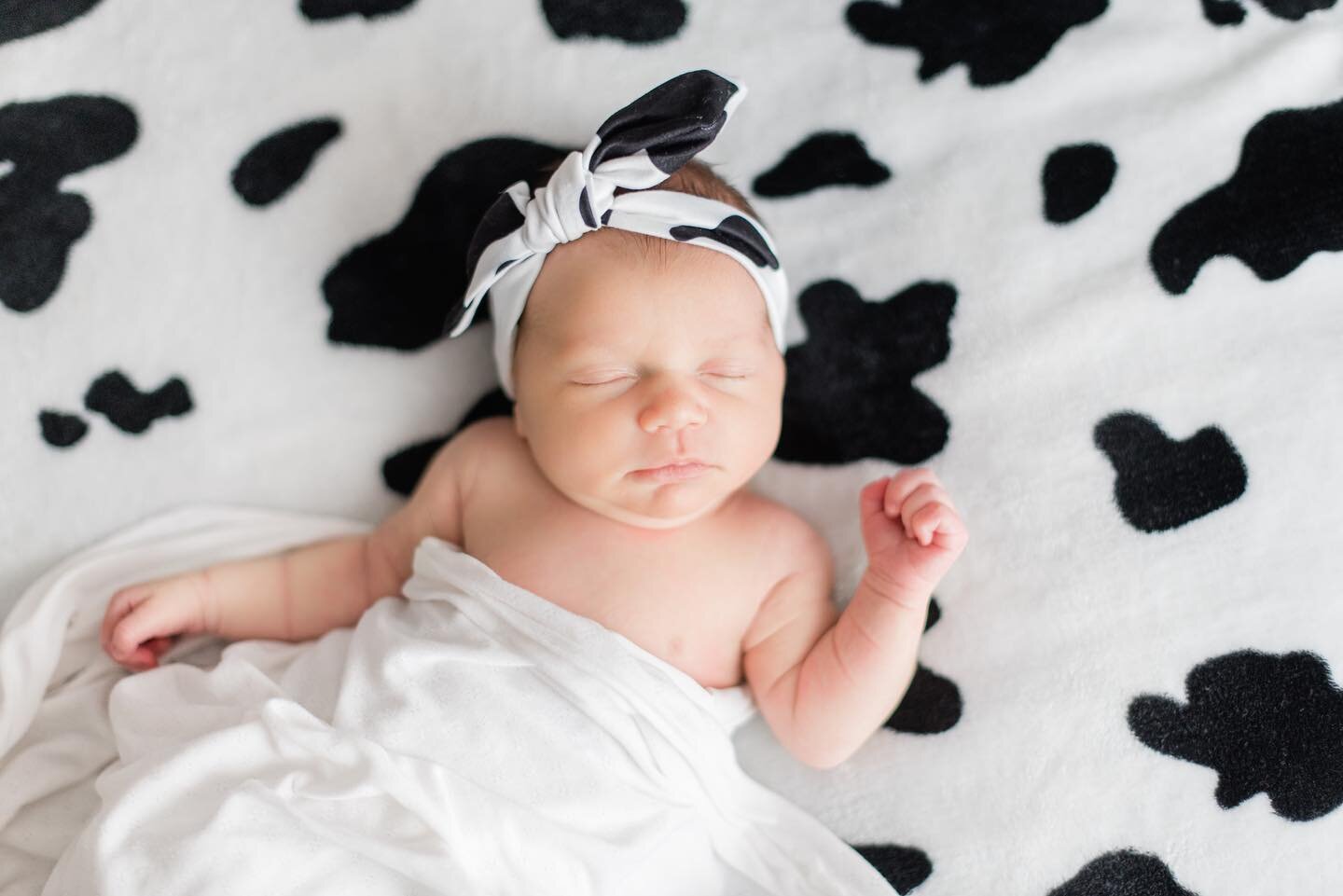 Today&rsquo;s sweet girl 😍 #danazarinphotography 
.
.
.
.
.
.
.
.
.
.
.
.
.
.

.
.
.
.
.
#nj #njphotographer #njnewbornphotographer #njnewbornphotography #southjersey #southjerseyphotographer #newborn #newbornphotography #southjerseyfamilyphotograph