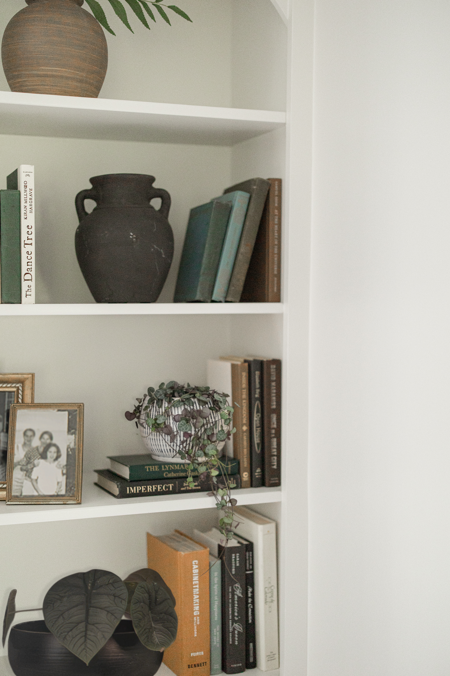 MW-Library shelf 2_web.png