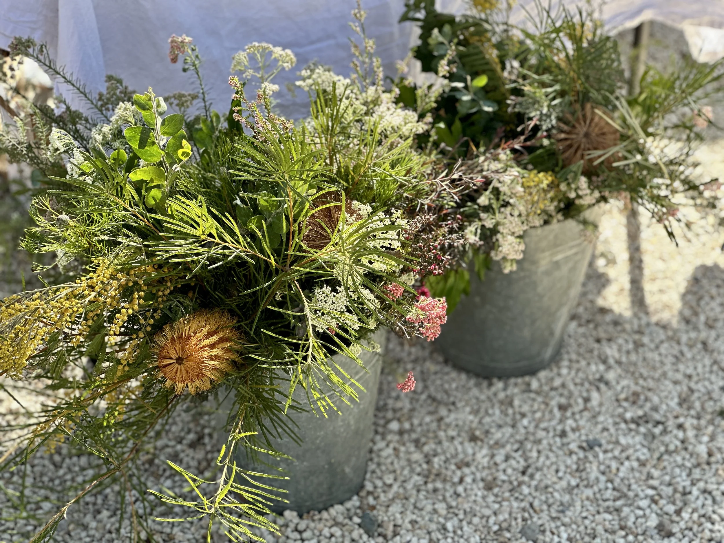 Native Cut Flowers & Foliage