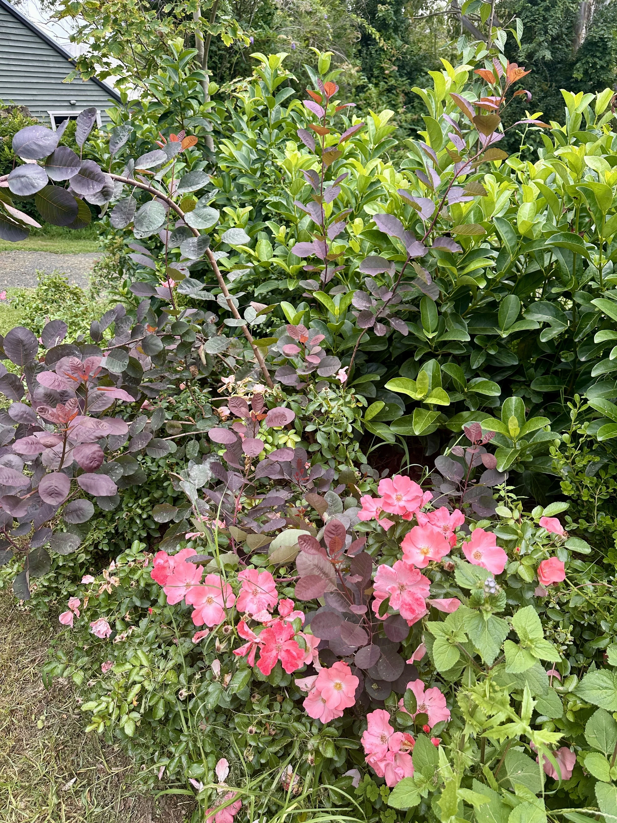IMG_9863.jpeg