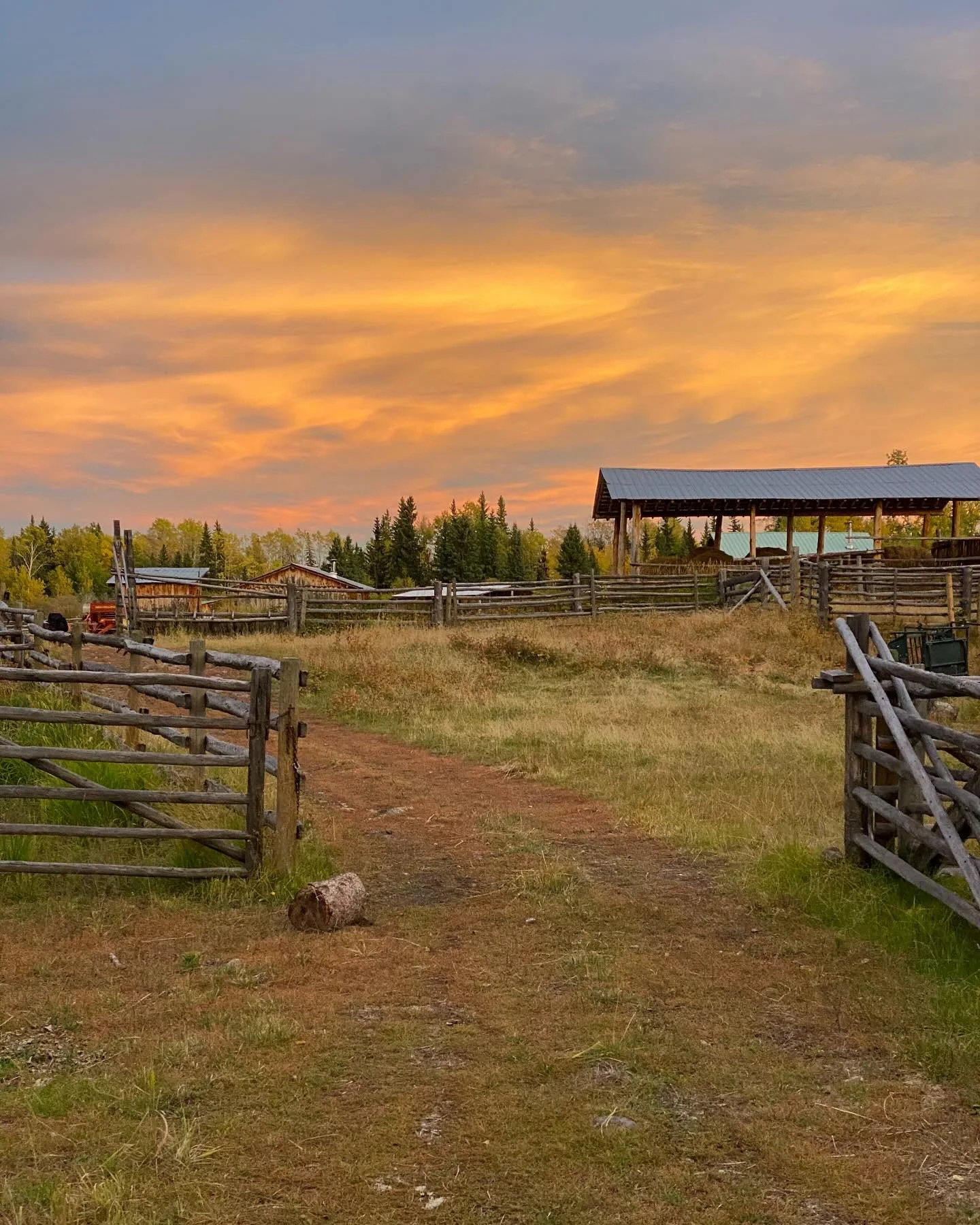 Ever wanted to vacation or explore in Chilcotin Country? Check out one of our ranches, Sparrowhawk Ranch, that has a vacation rental cabin https://bar2aranch.com/sparrowhawk-ranch This ranch is in the heart of a seasonal grazing and haying area for u
