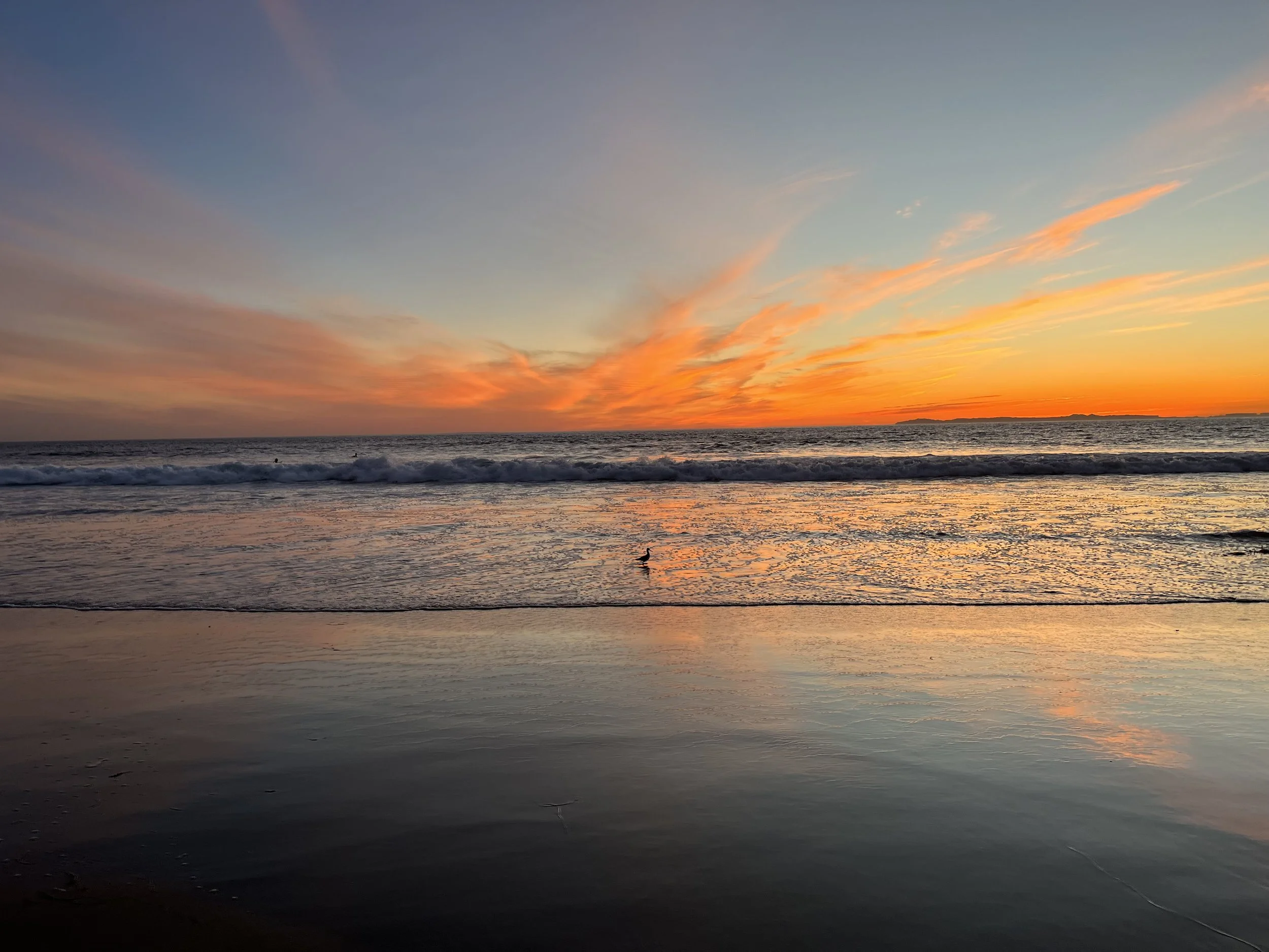 Vibrant sunset- vibrant you