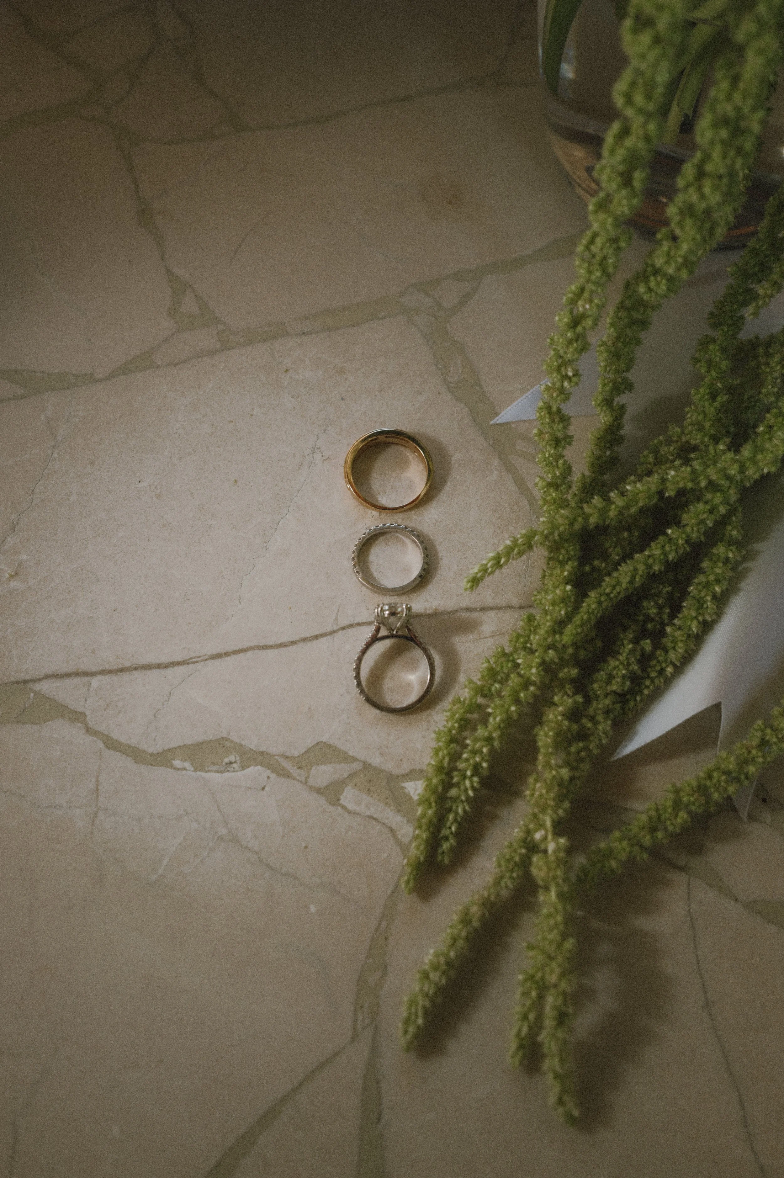 Two rings, a gold wedding band and a silver ring with a pattern, are placed on a beige, cracked ceramic surface. A green hanging plant is partially visible on the right side of the image.