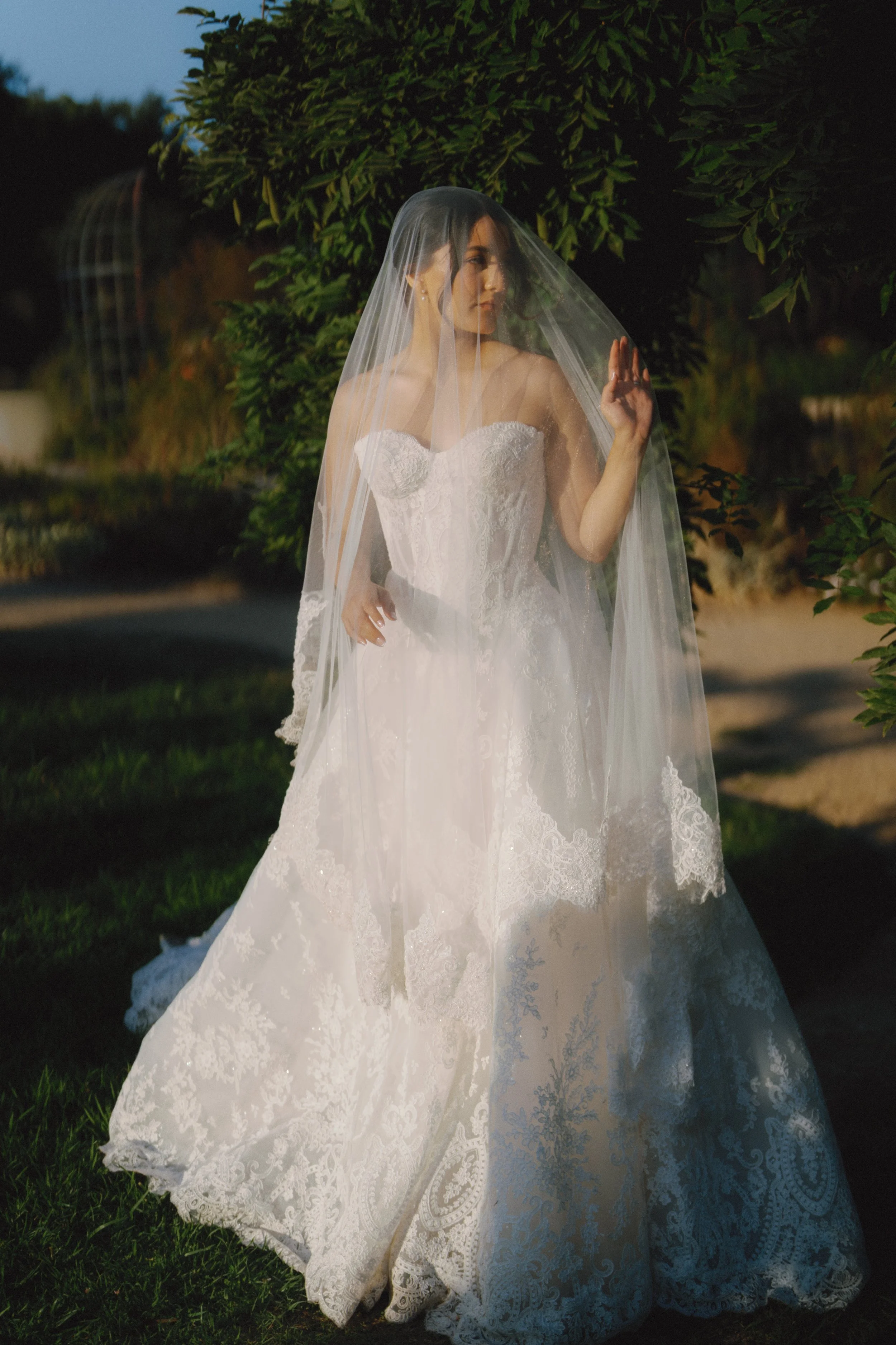 A bride wearing a strapless white lace wedding gown and veil standing outdoors near a green hedge at dusk.