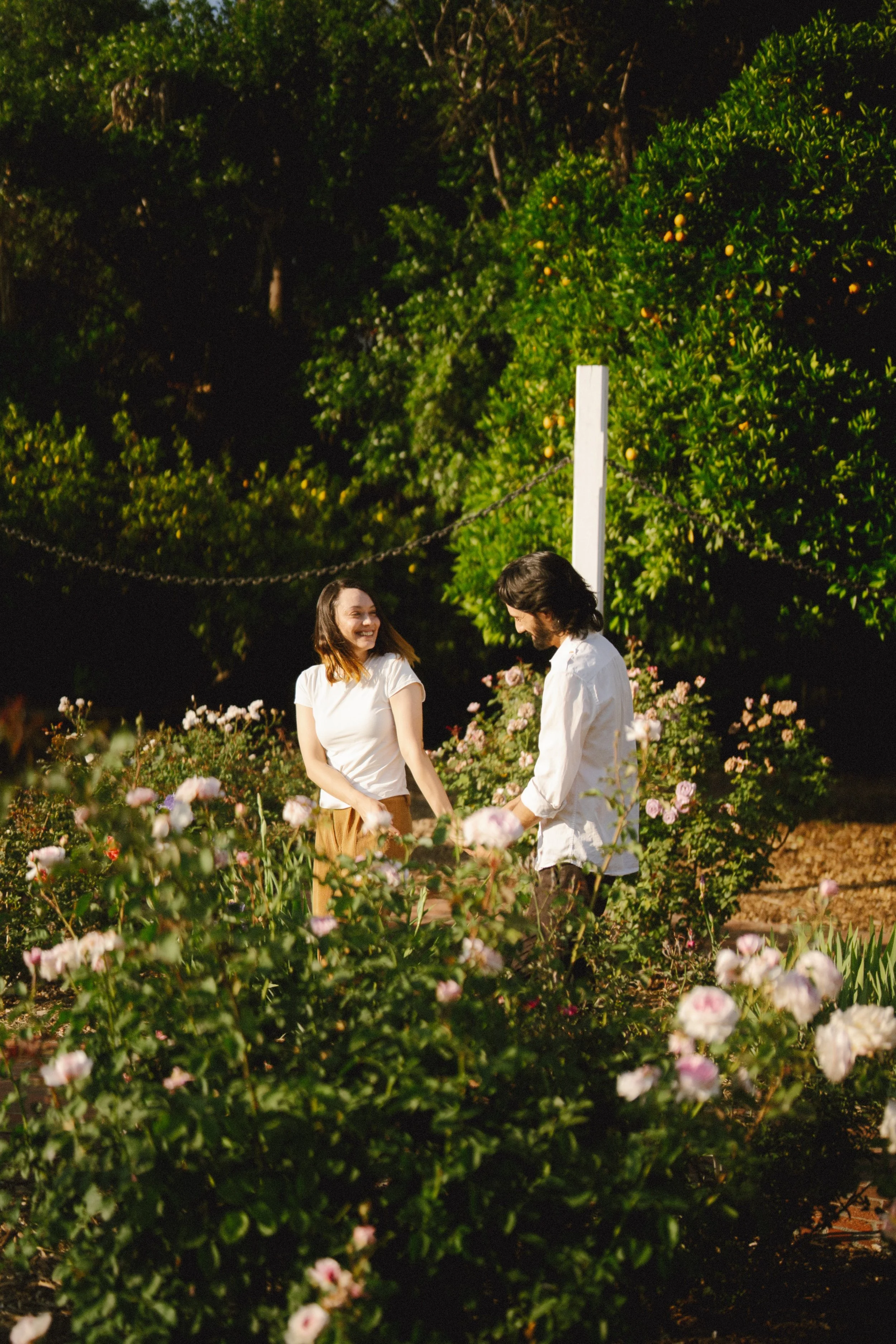 A young couple standing in a flower garden during the evening, holding hands and smiling at each other, surrounded by blooming flowers and lush green trees.