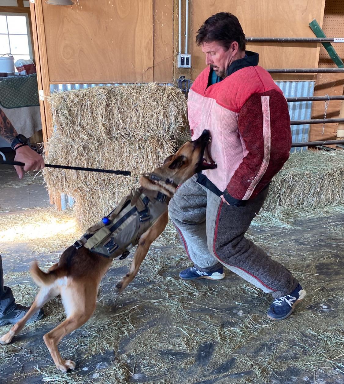 LOCATE DOMINATE TACTICAL K9 SEMINAR - TERRELL, TX