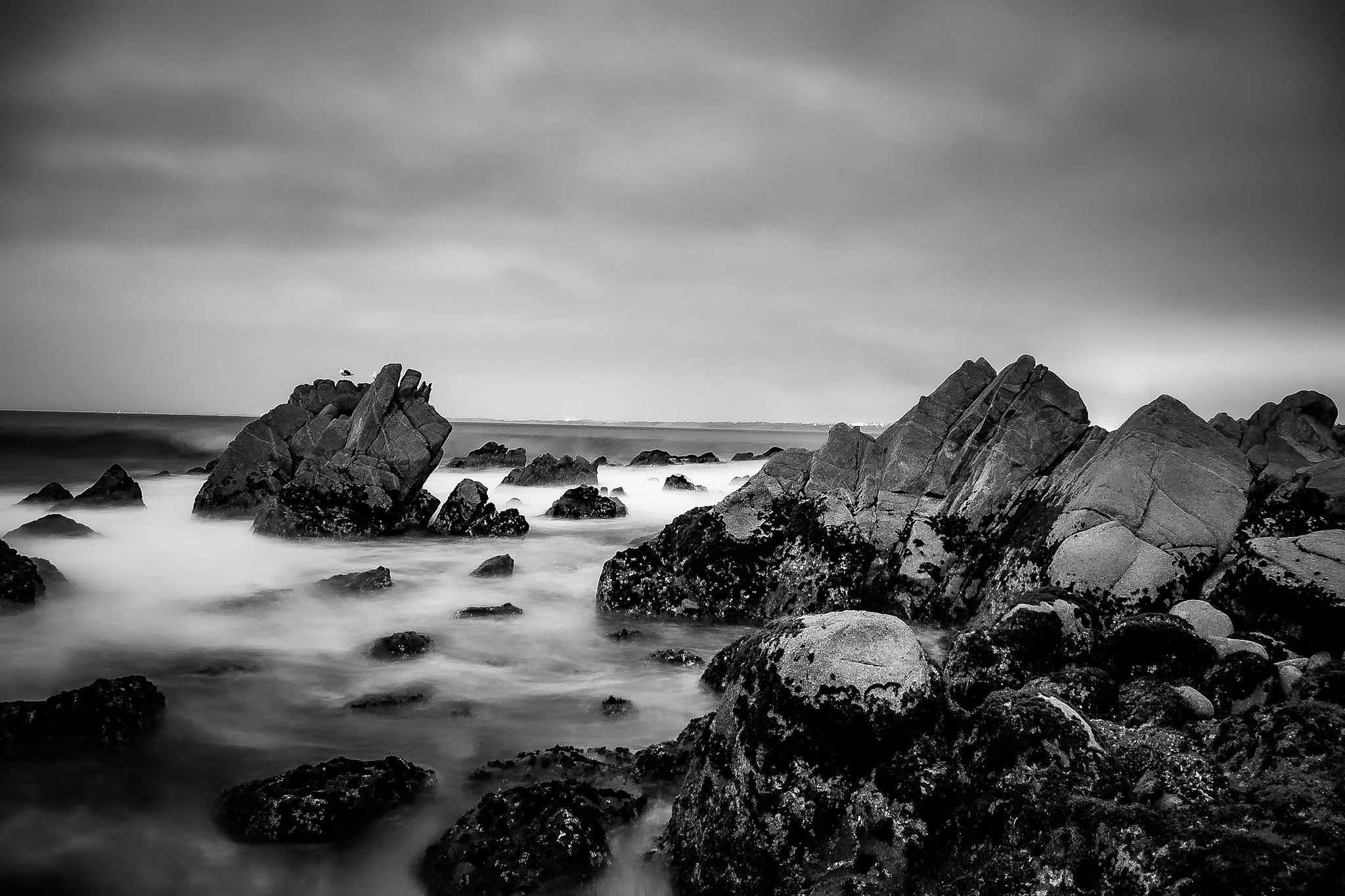 DSC_0408.JPG