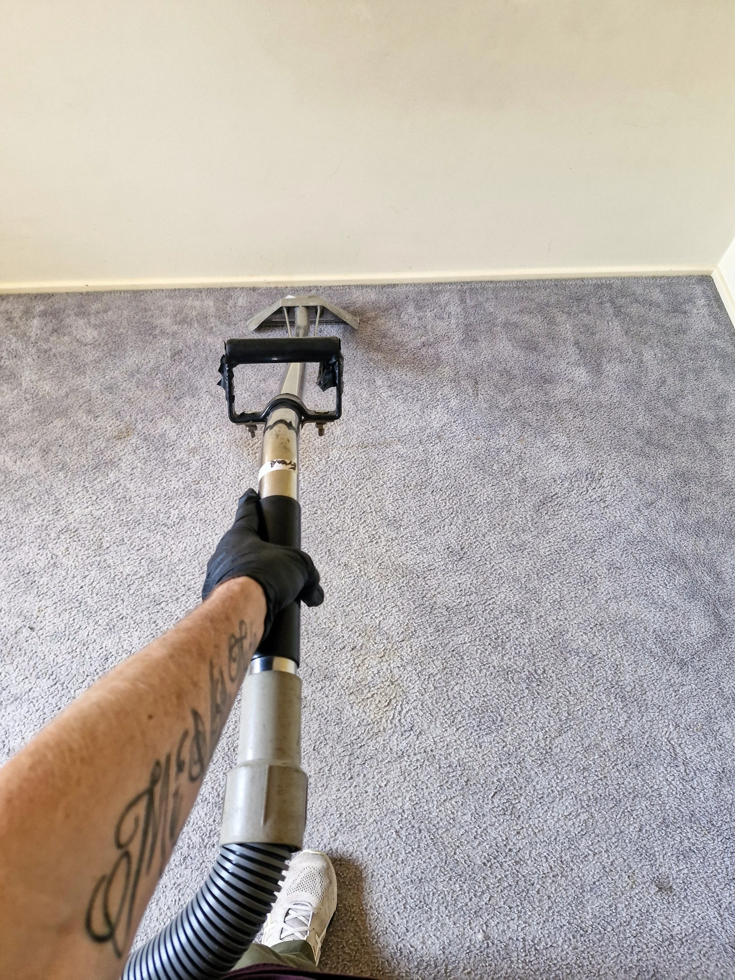 Eco - Friendly Steam Cleaning advantages for your home