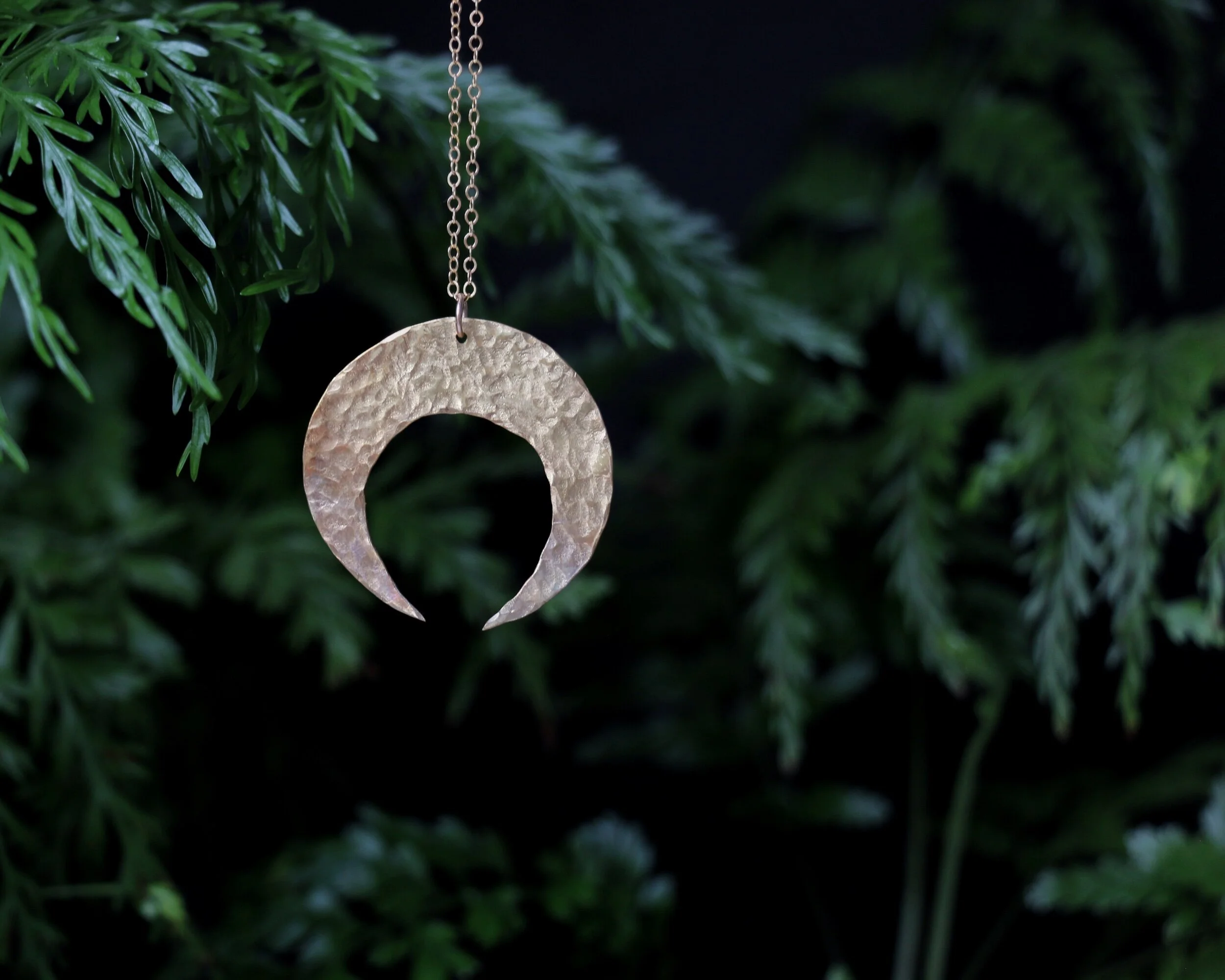 169583FA-D298-4B0C-ADA7-8DE65FB4F32B