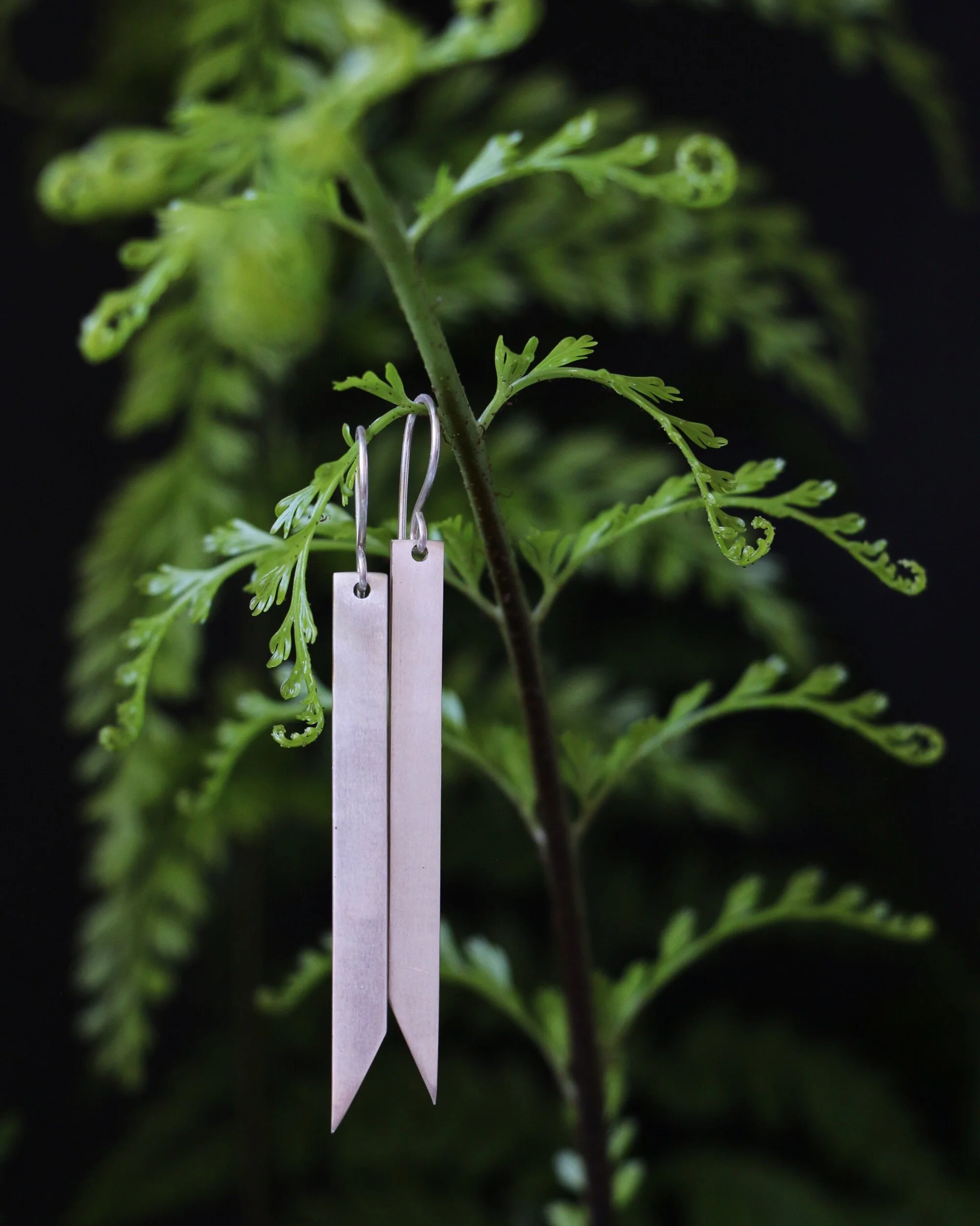 AFADE452-1B57-4623-984F-7E308D431E9E