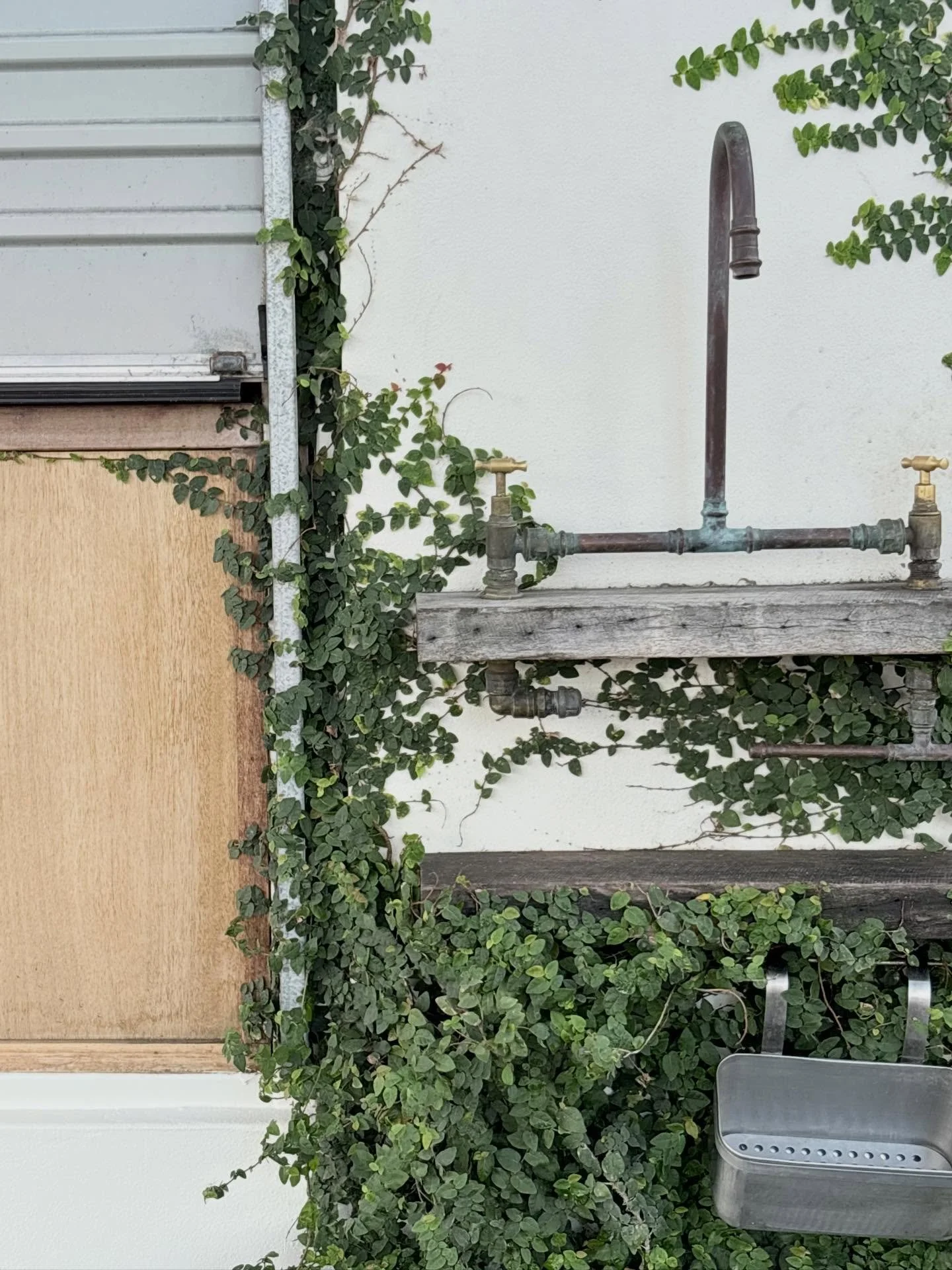 Fresh coat for old maids as well 🎨