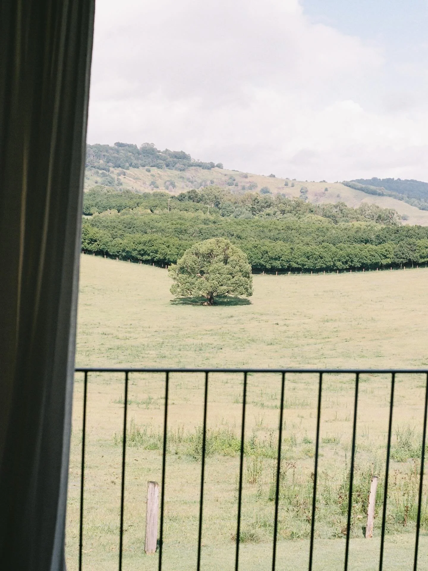 Had the privilege of having margy from @oldmaids_brunswickheads come out and take some photos for Fingal street 🎨