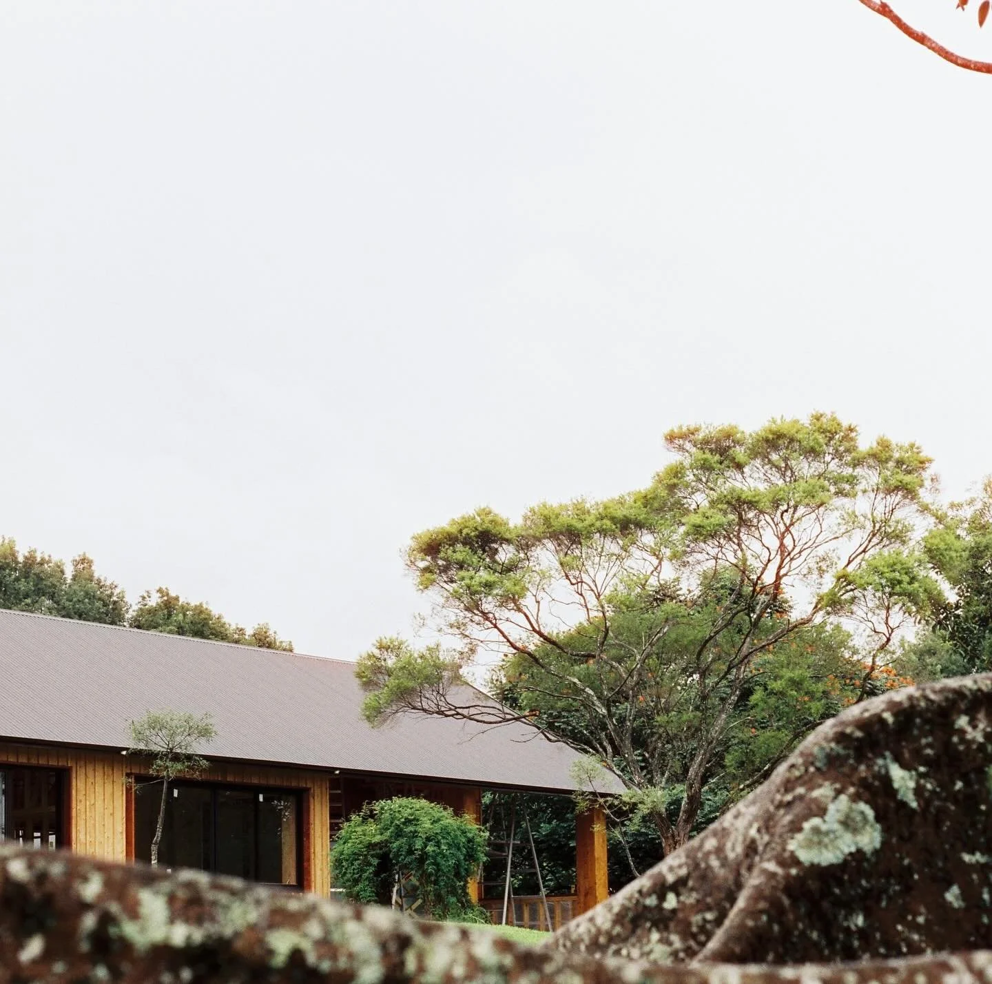 Oiling this barn 🎨