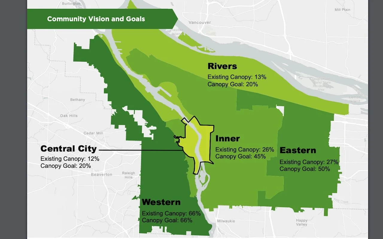 tree canopy map.jpeg