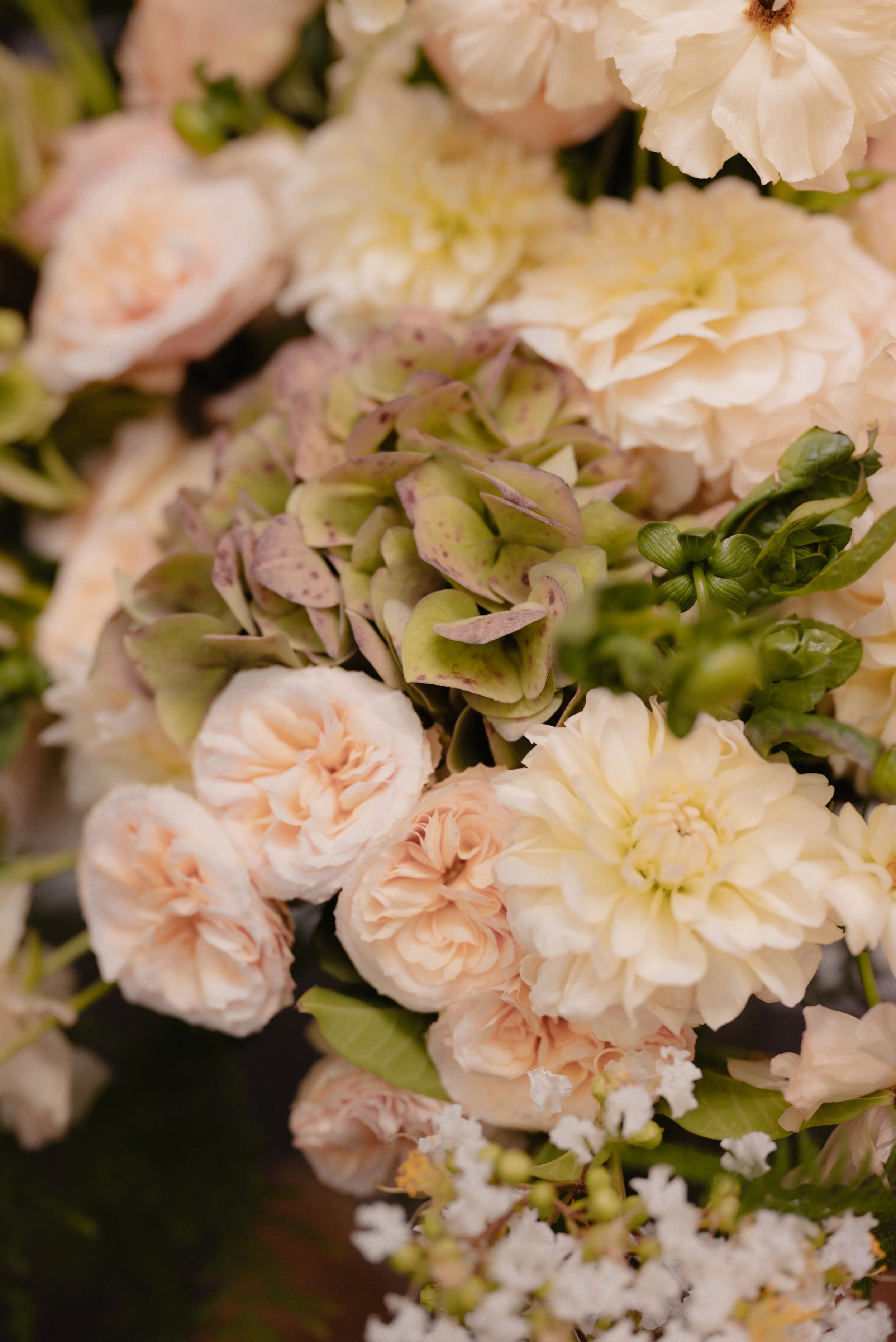 Elisabeth & Ryan-406.jpg