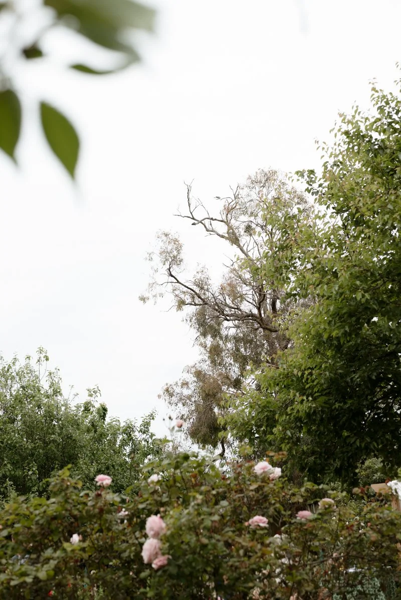 Britt & Andre Wedding-62.jpg