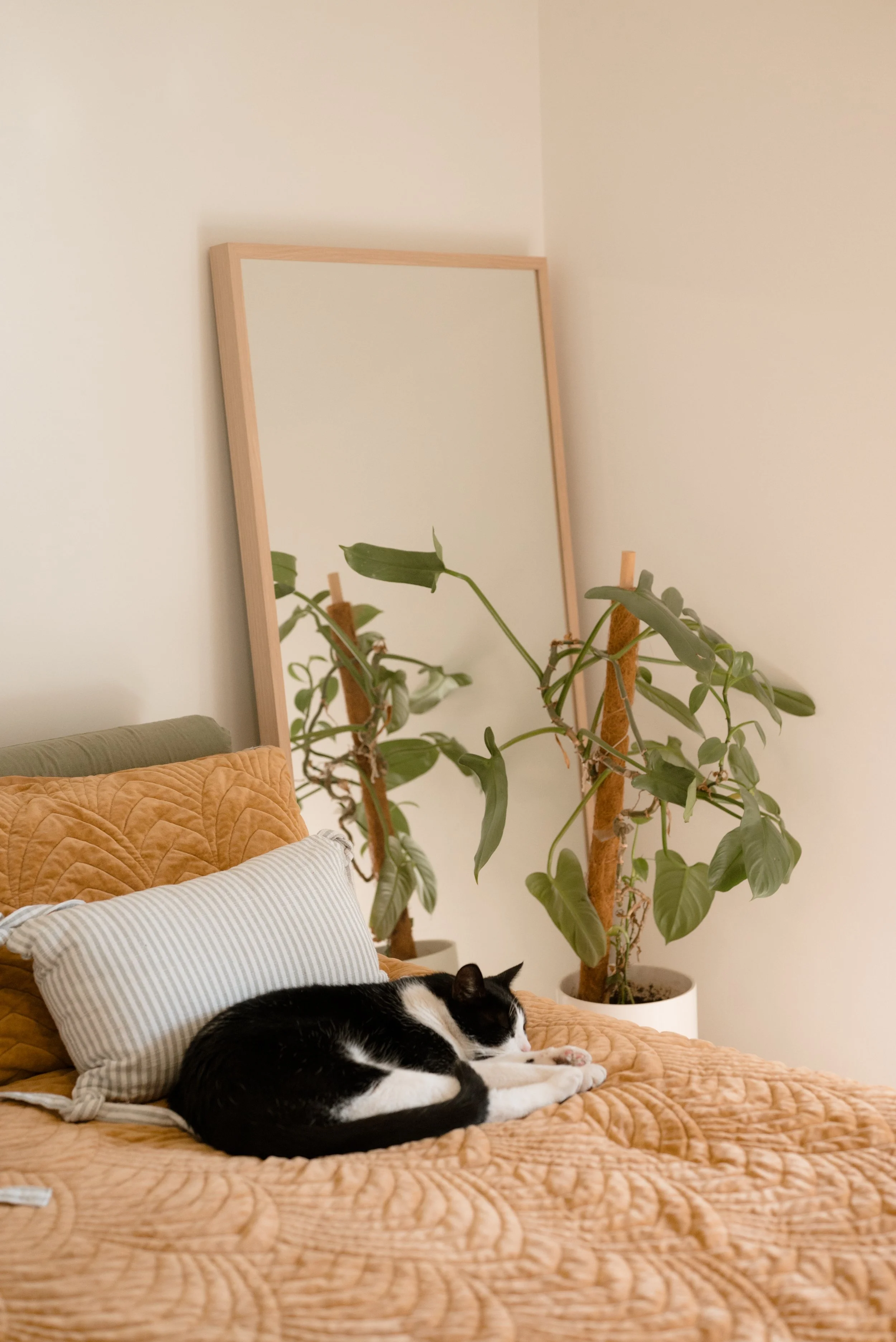 6 Bingarra Close-79.jpg
