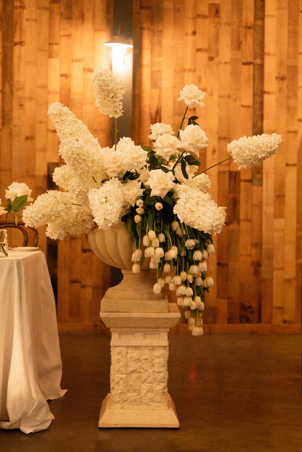 Isabelle & Caleb Wedding Social-354.jpg